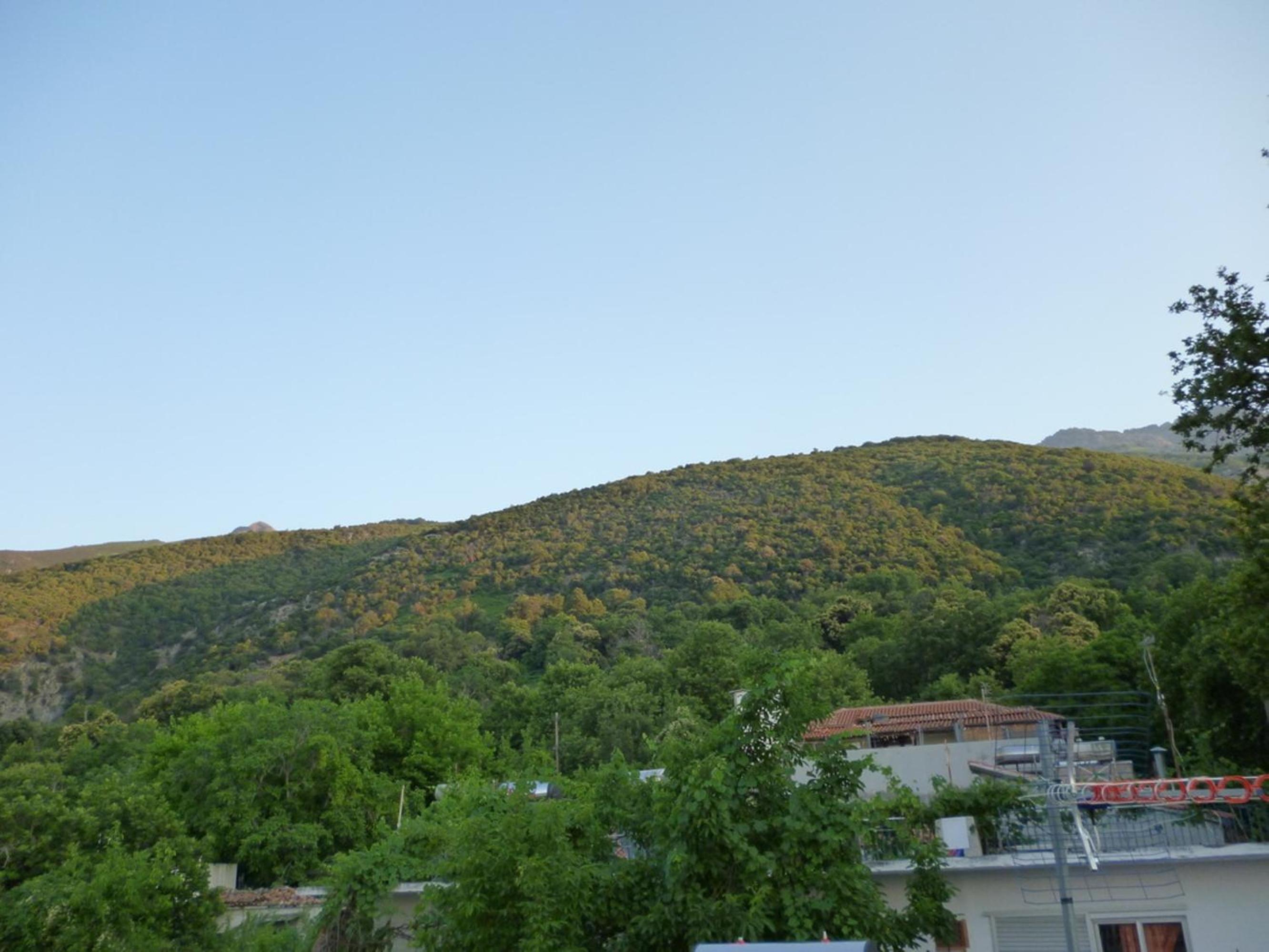 Galini