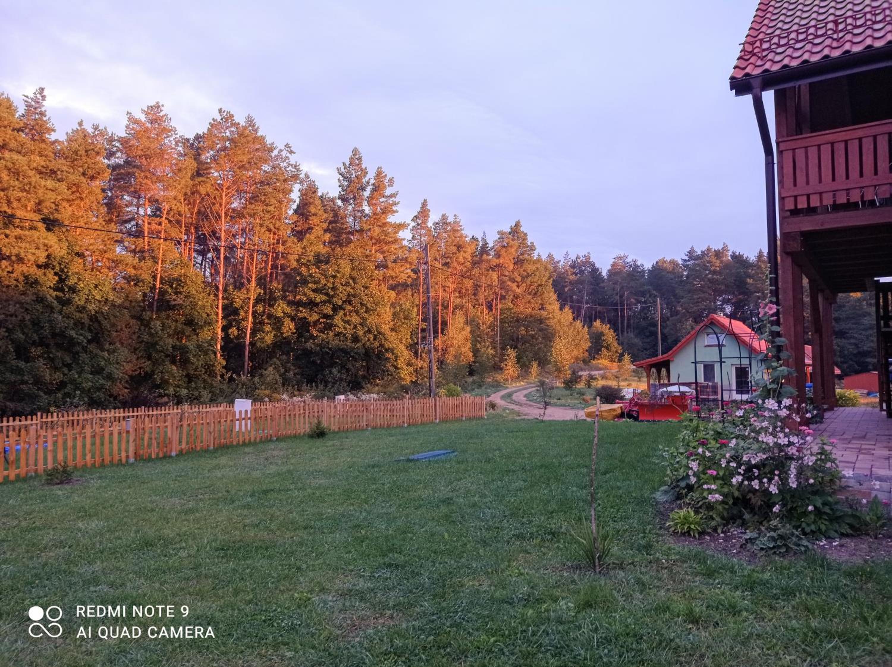 Photo 47