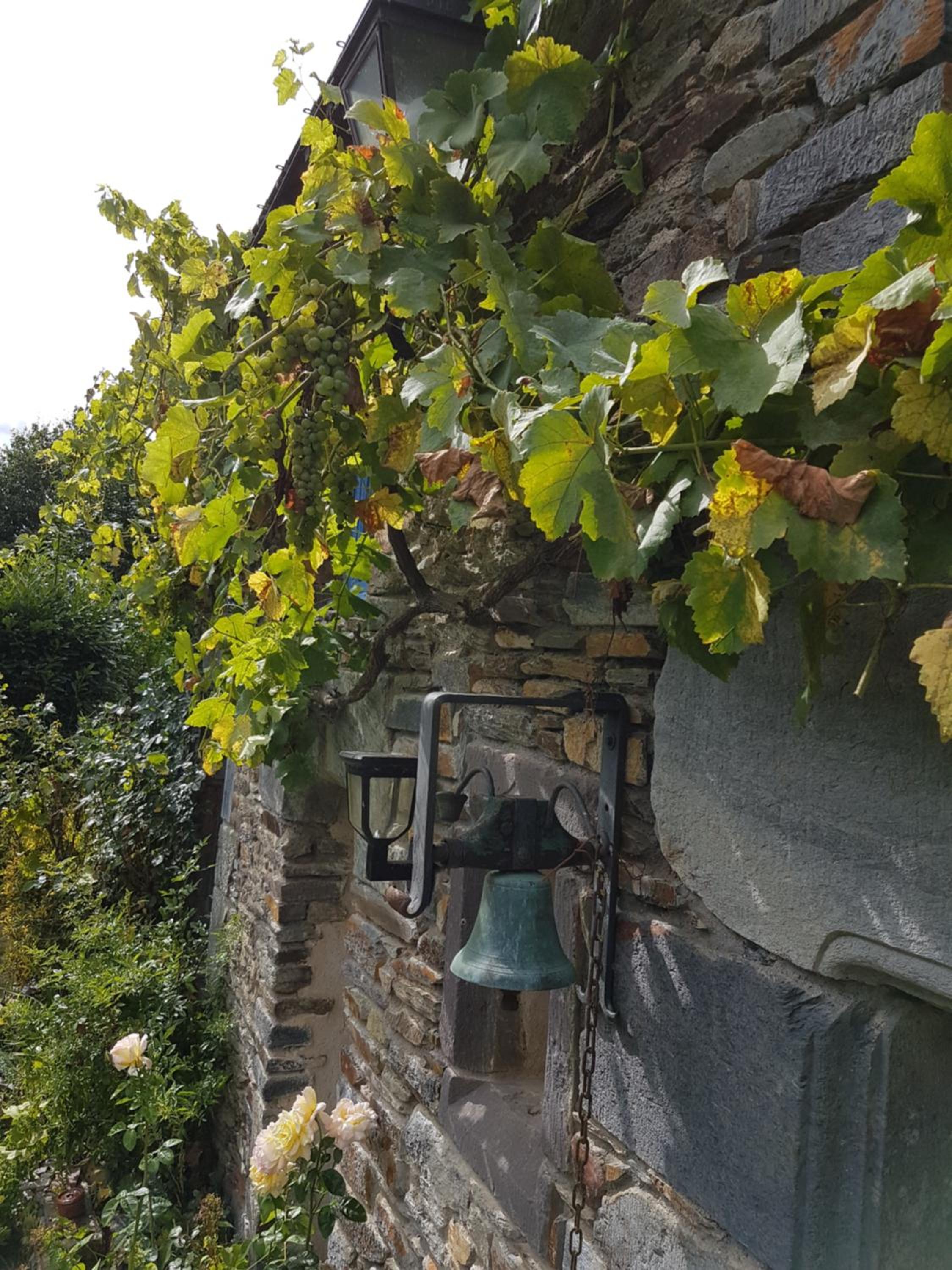Le clos du Tay view 2