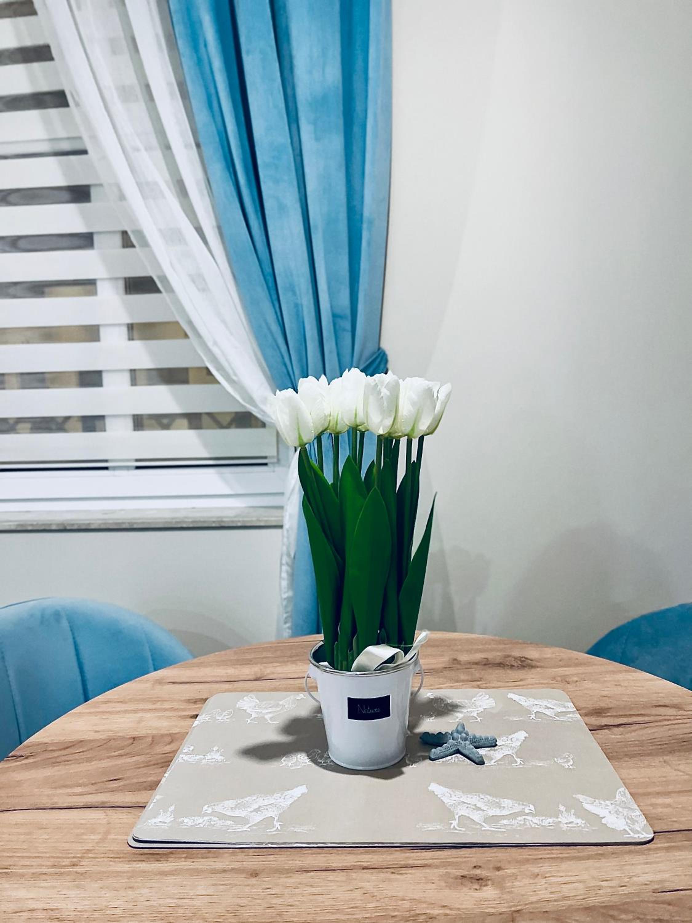 Apartamenty Kamienica Arte 1