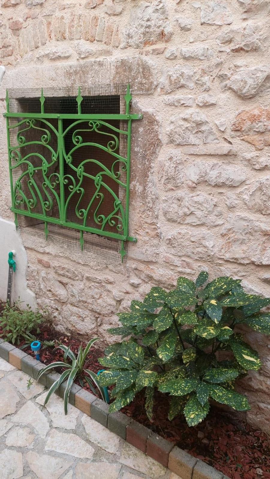 Photo 7