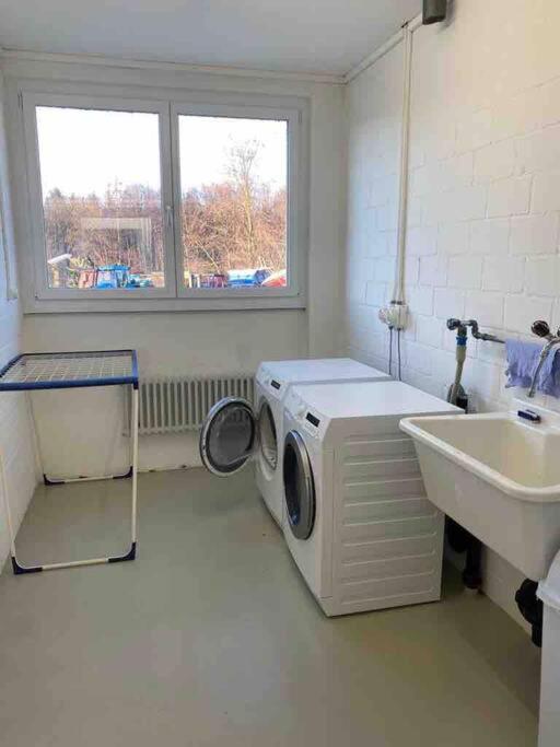 Geräumige Wohnung im Schweizer Vekehrspunkt