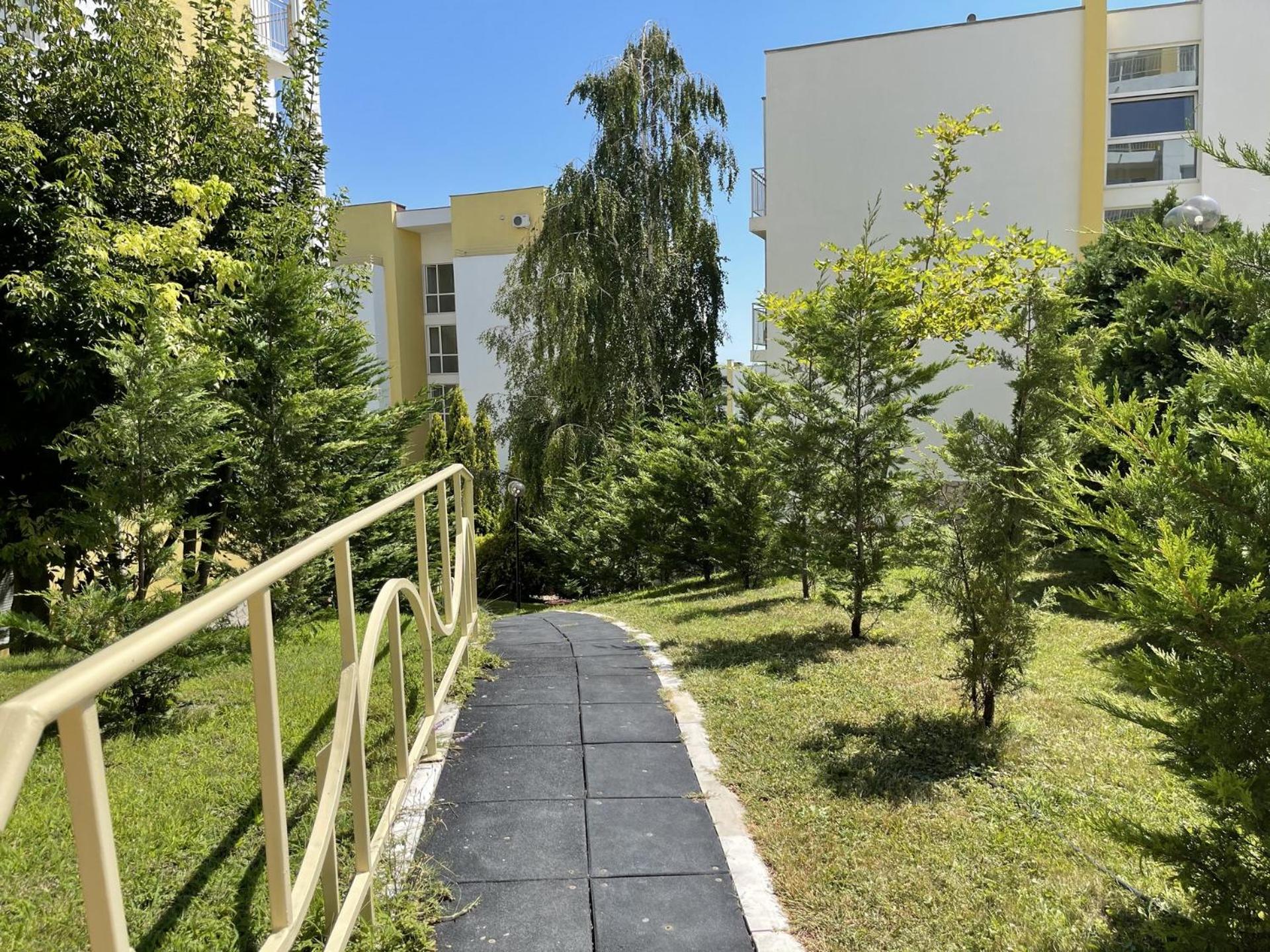 Photo 6