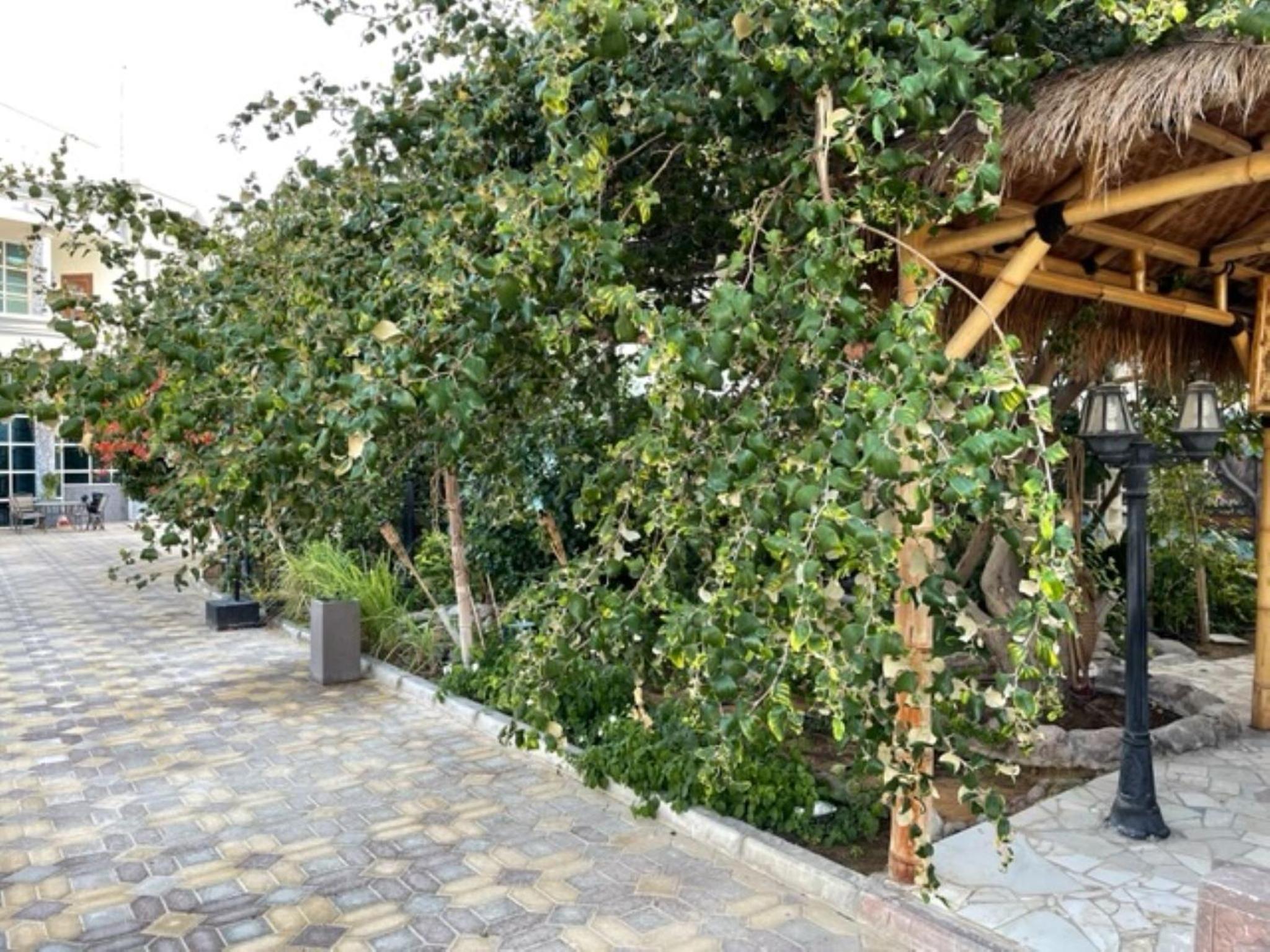 Alhosani property