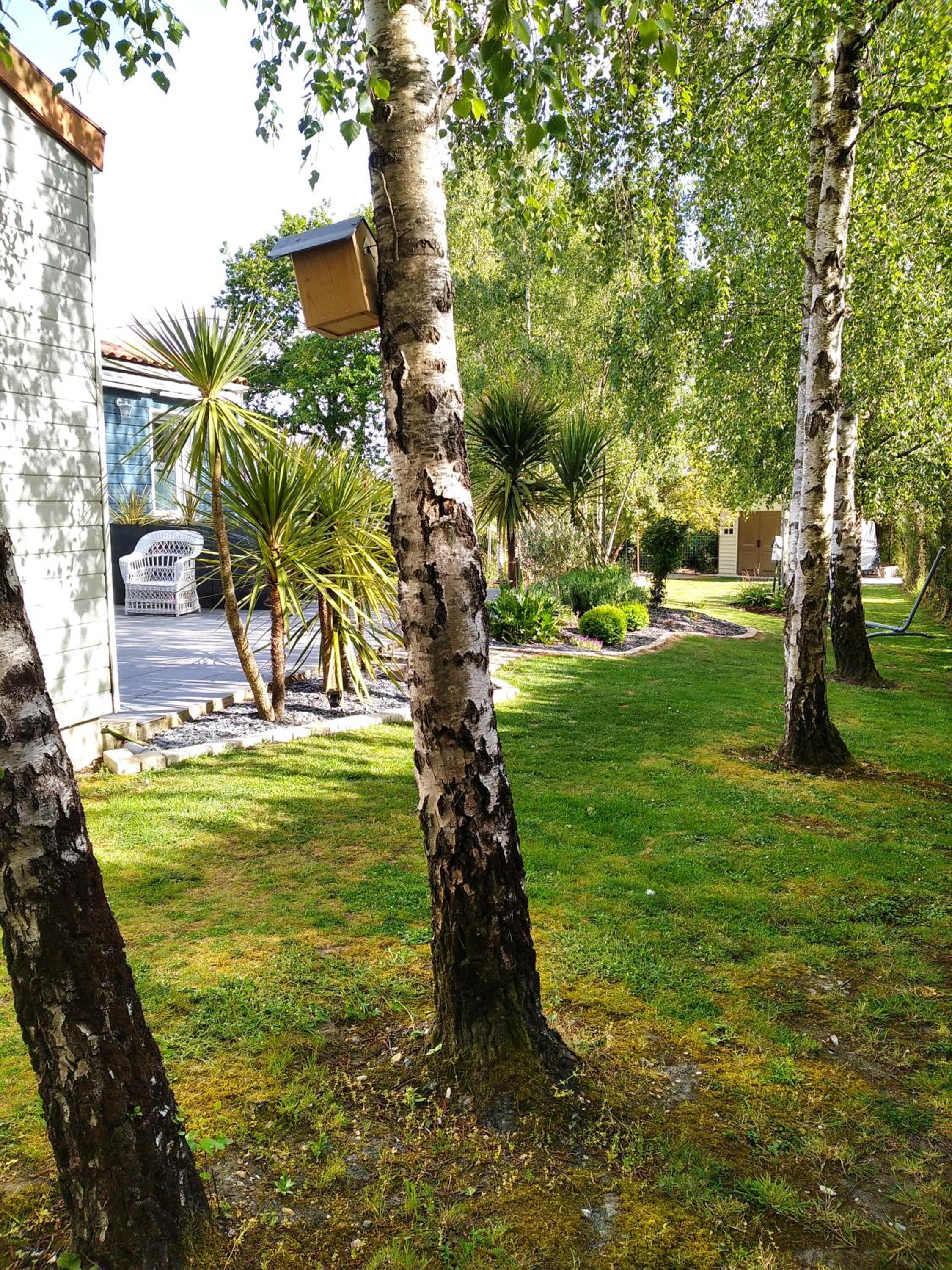 Photo 19