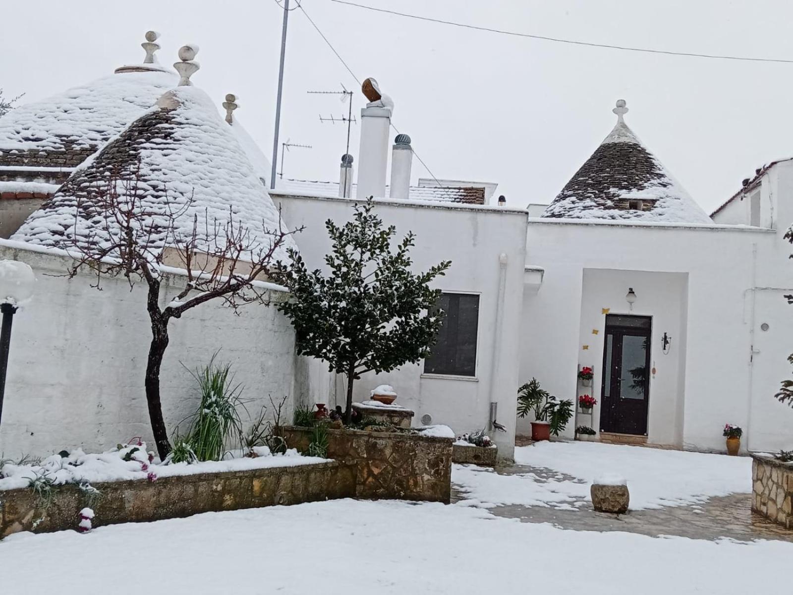 trullo amicizia photo 2