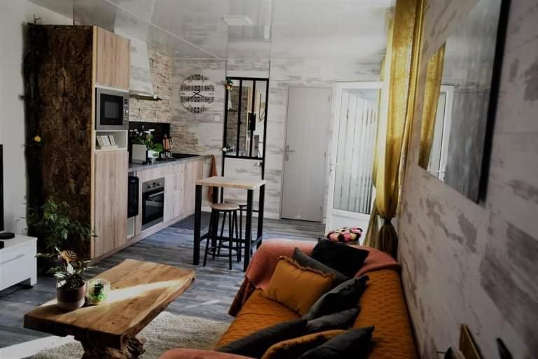 Le Néflier Dijon - appart balnéo - SPA romantique pour 2