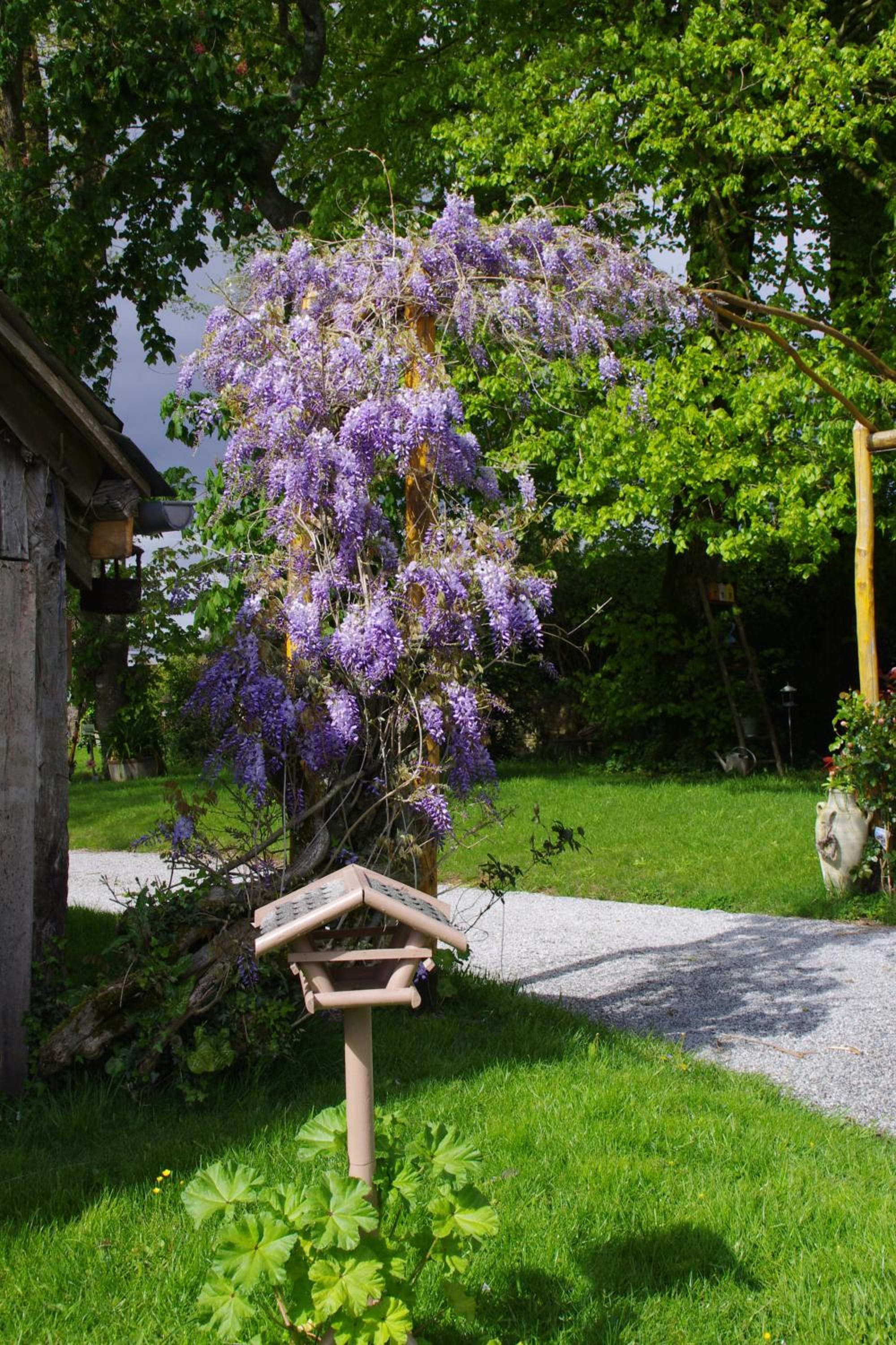 Photo 43