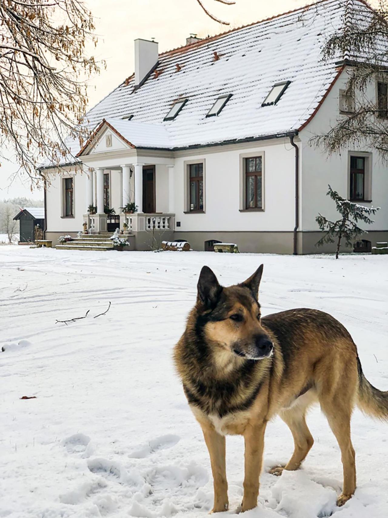 Dwór Gogolewo nad Wartą, Foto 61