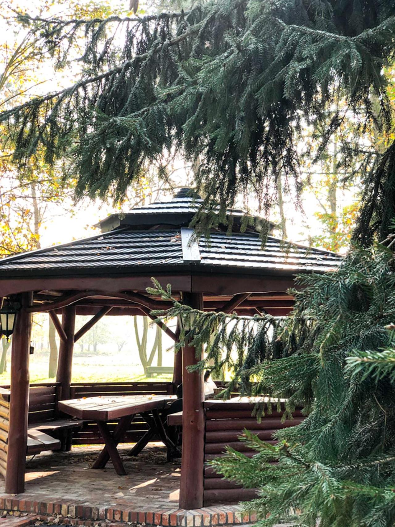 Dwór Gogolewo nad Wartą, Foto 74