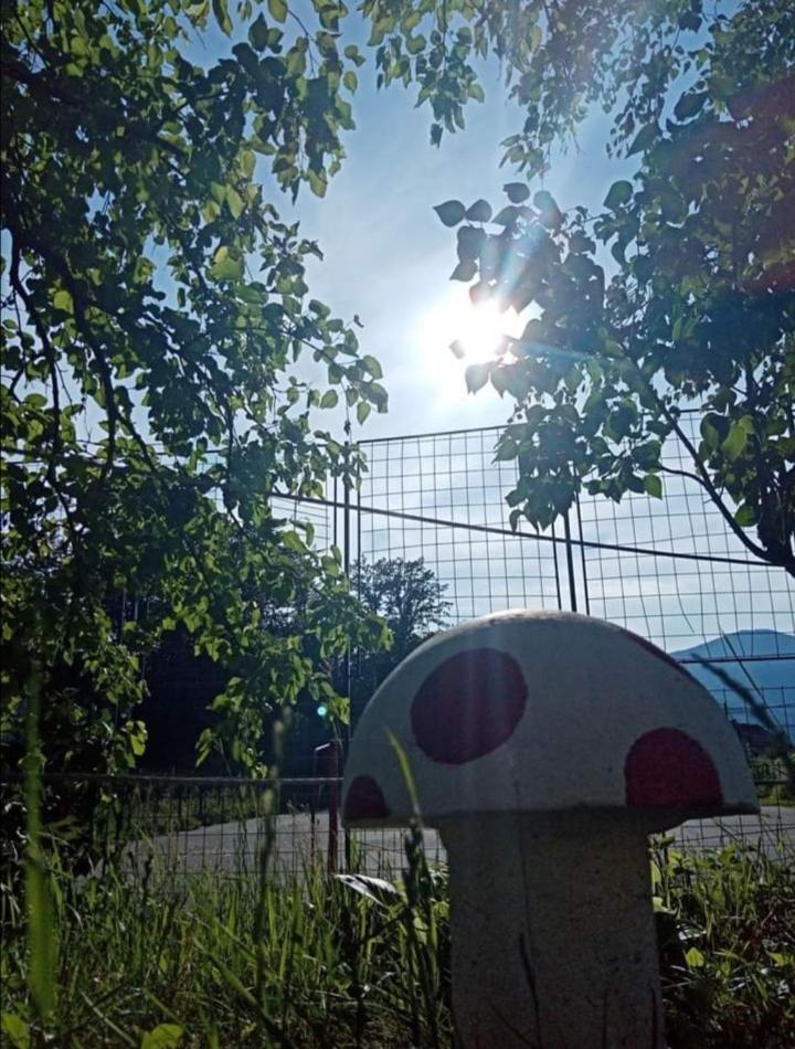 Apartman Oreol