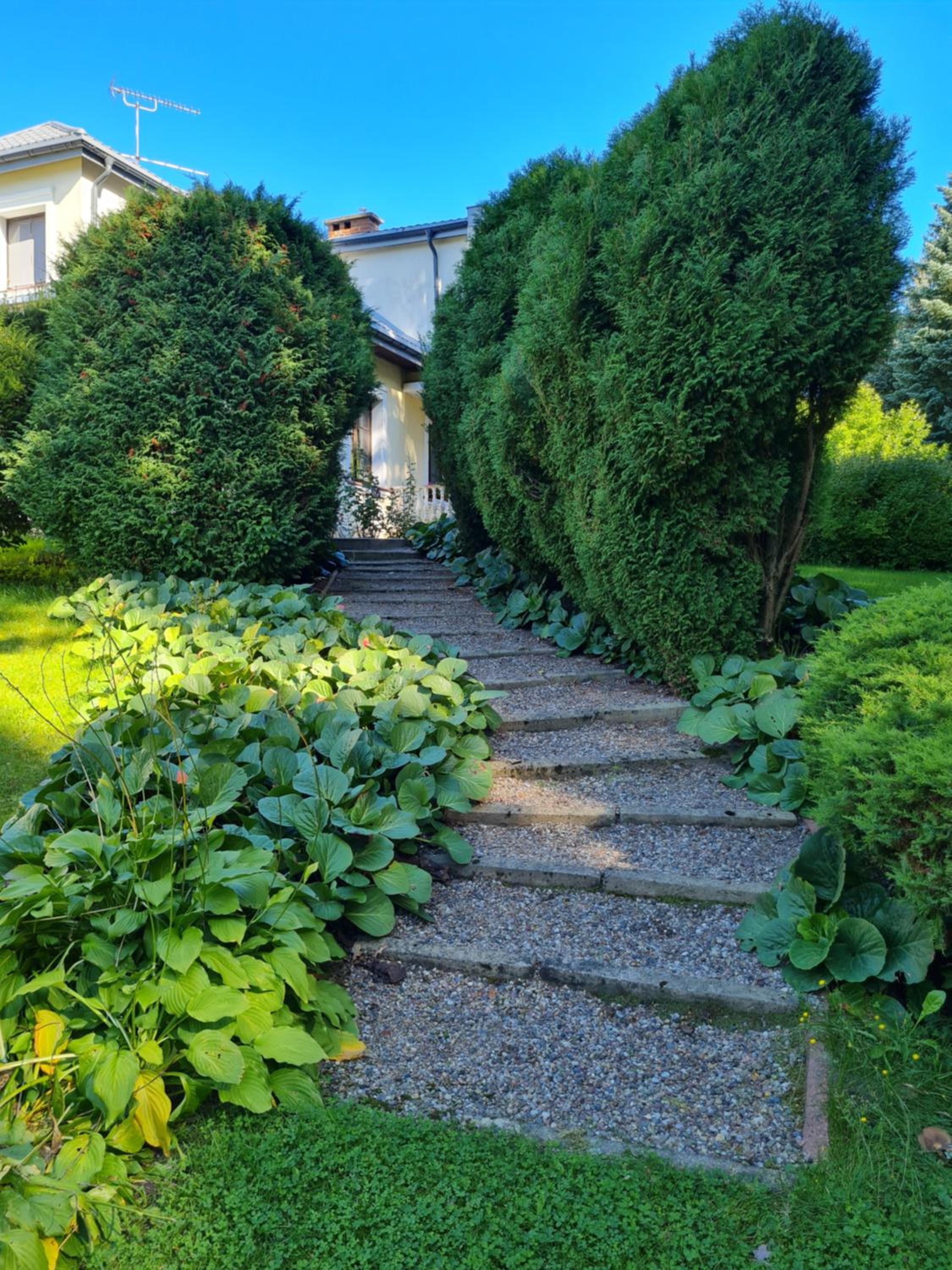 Wrzosowe Siedlisko view 2
