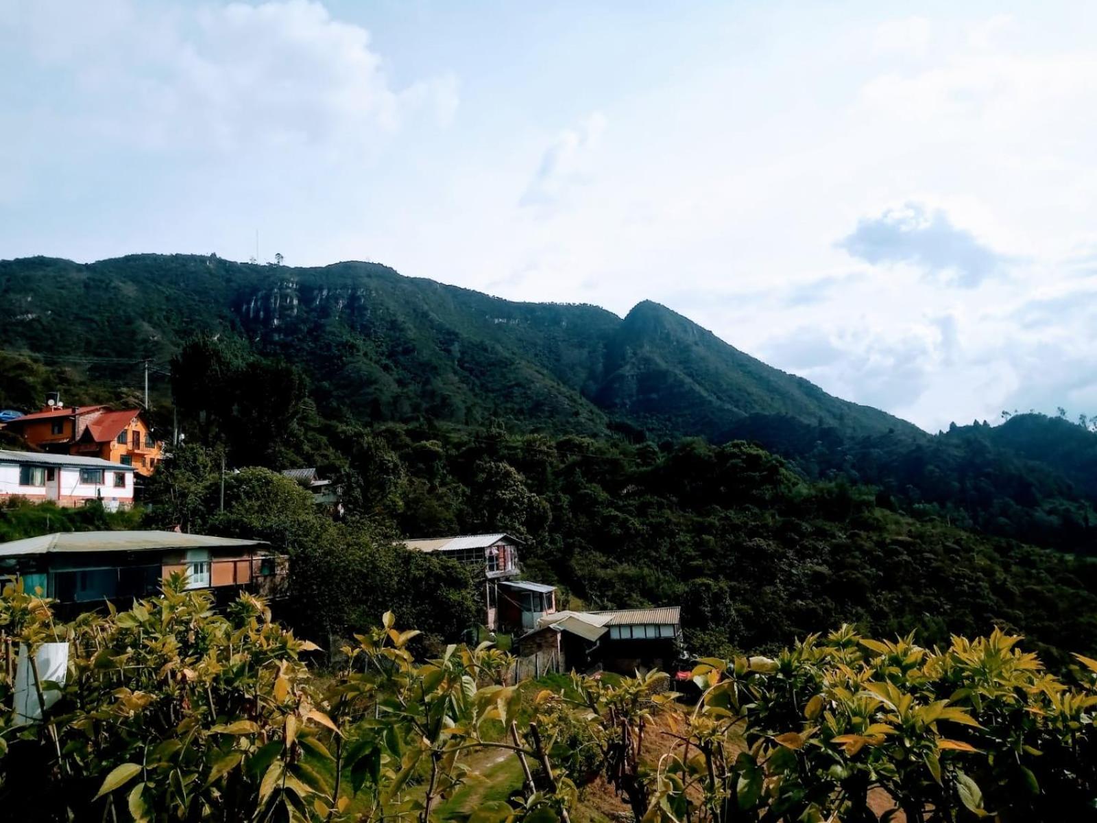 Cabaña del Colibri, la Guacamaya y la Mariposa