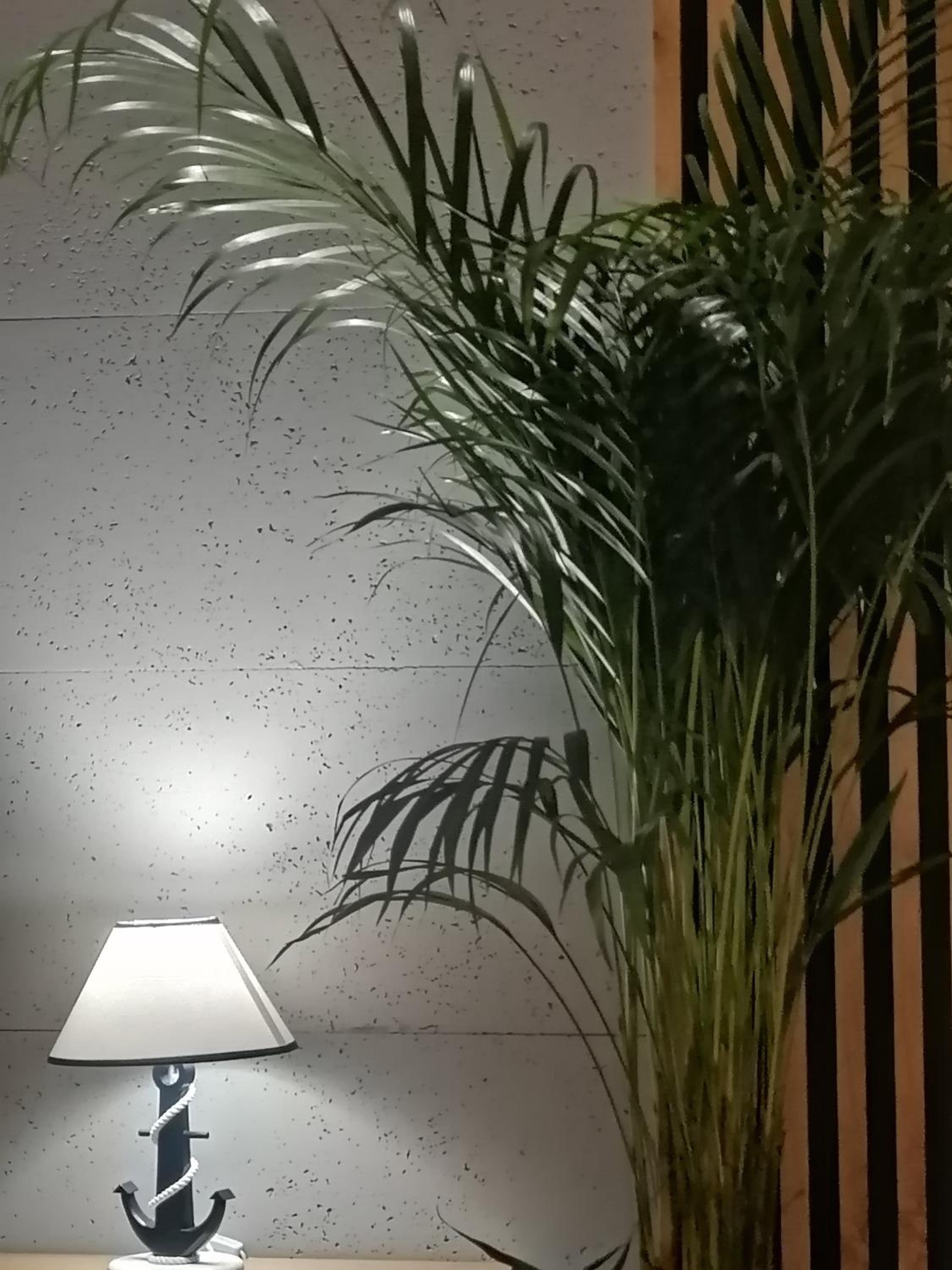 APARTAMENT CONCORDIA