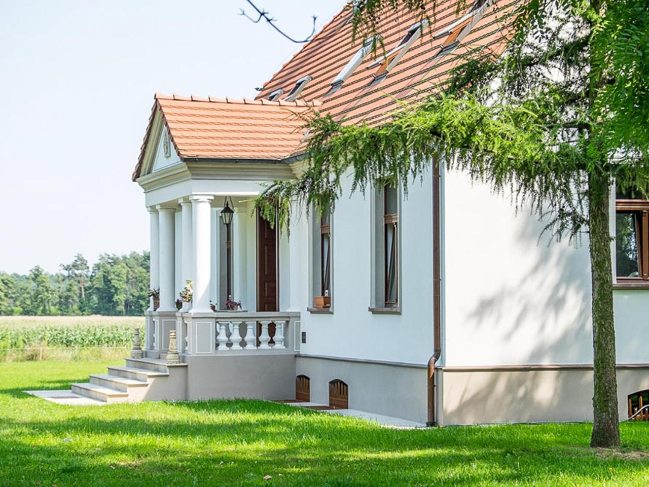 Dwór Gogolewo nad Wartą, Foto 71