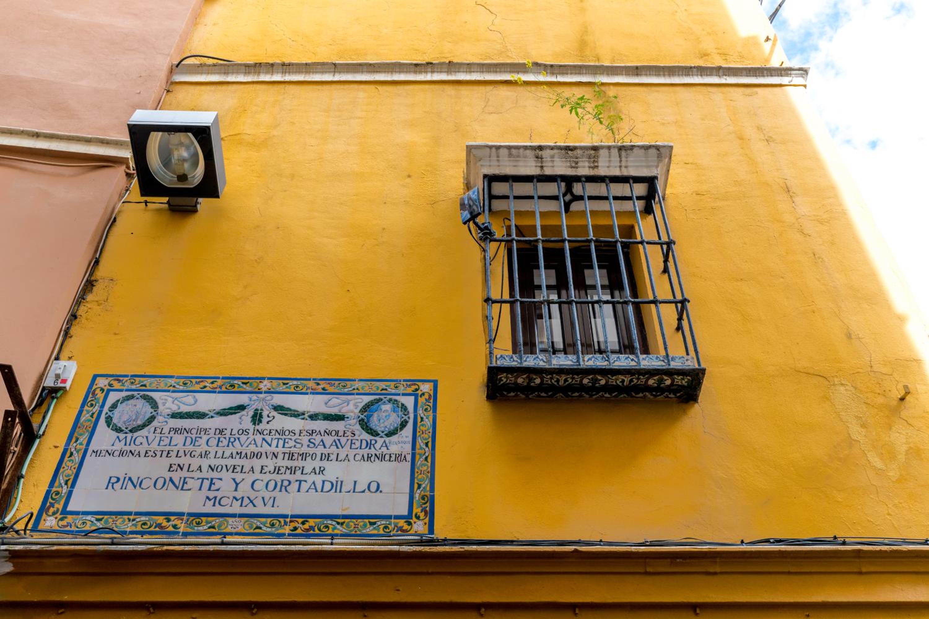 Casa Ispal Alfalfa view 4