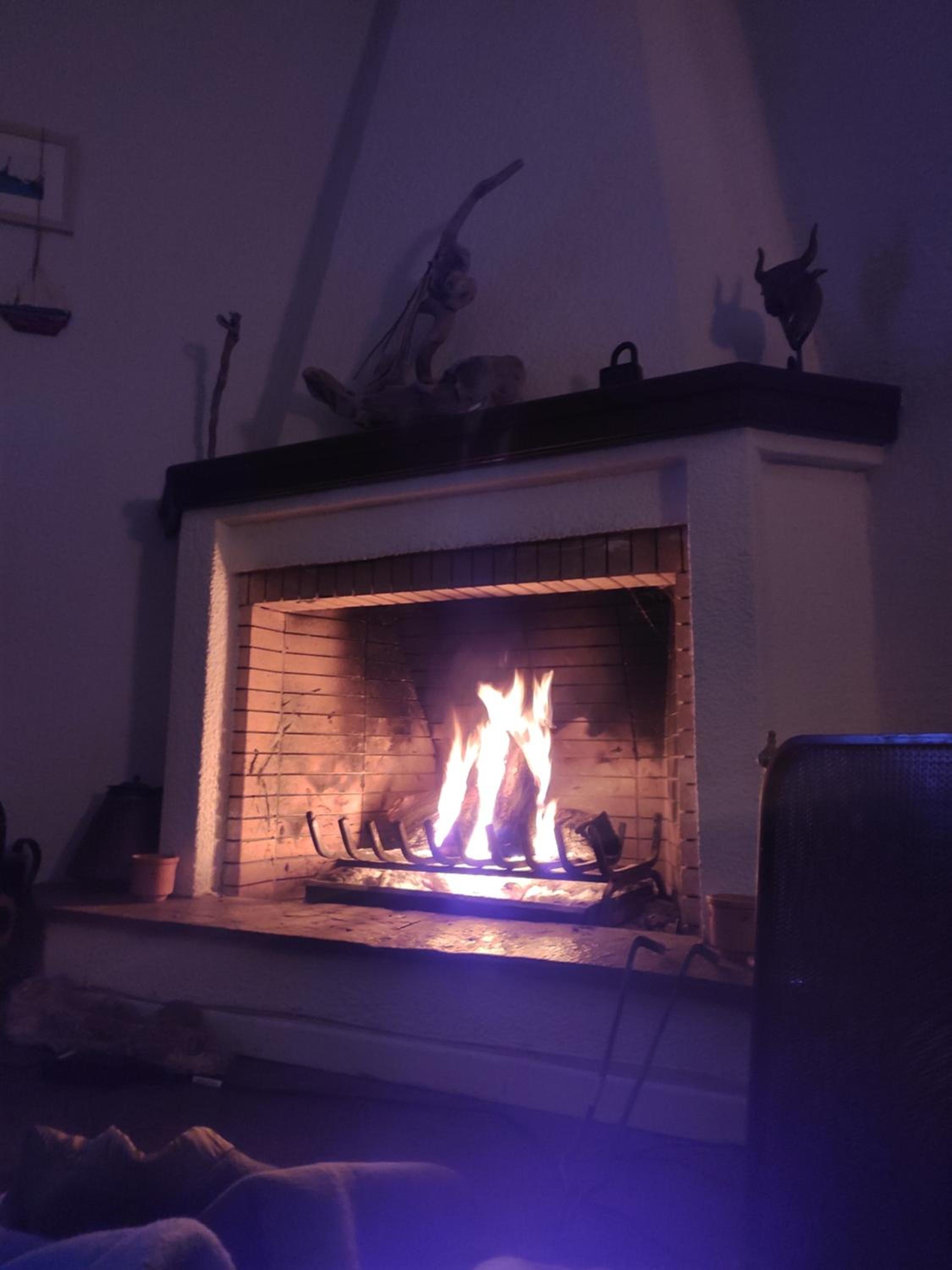 Cozy Villa in the Woods Next to the Sea, 7 Sleeps view 4