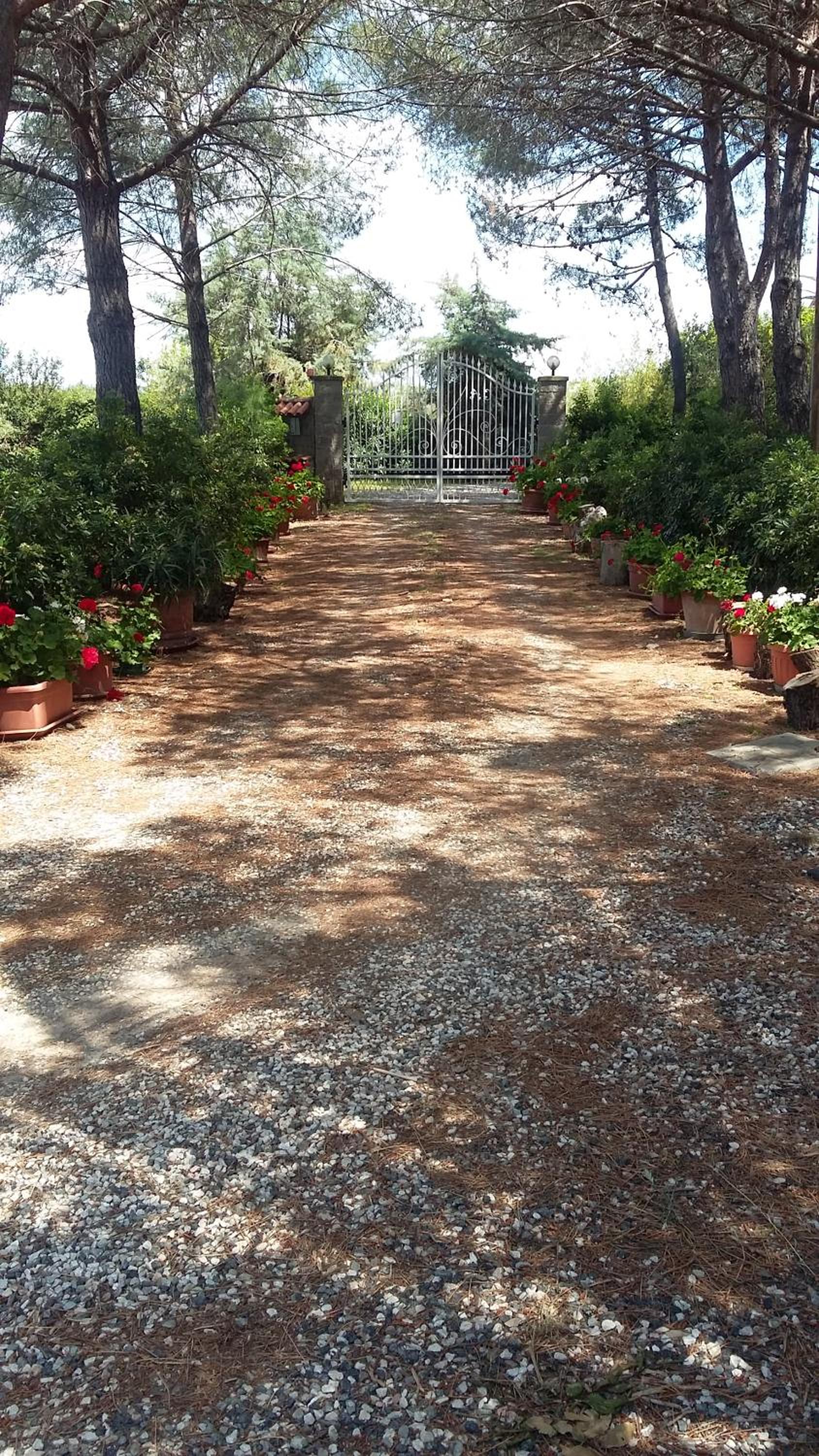 Campo alle More view 2