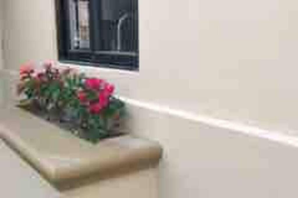 Mavila at Quivira Golf & Sea Community plus PB Beach Access on Medano Beach view 5