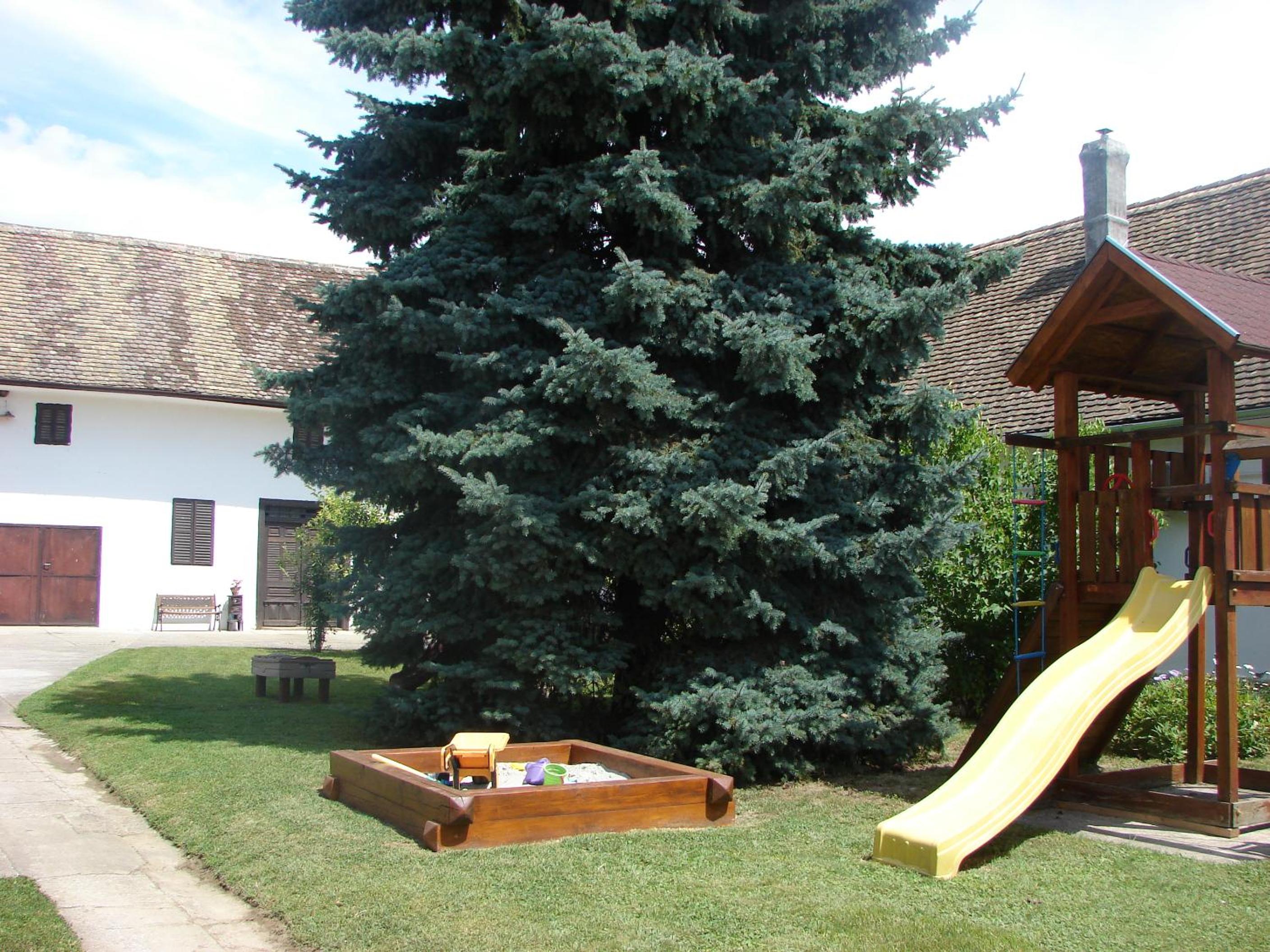 Photo 48