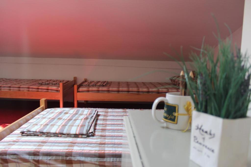 Belgrade Bicycle Hostel view 4