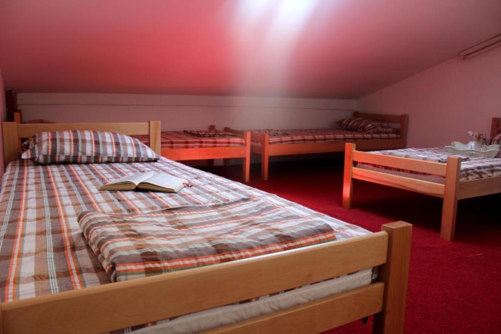 Belgrade Bicycle Hostel
