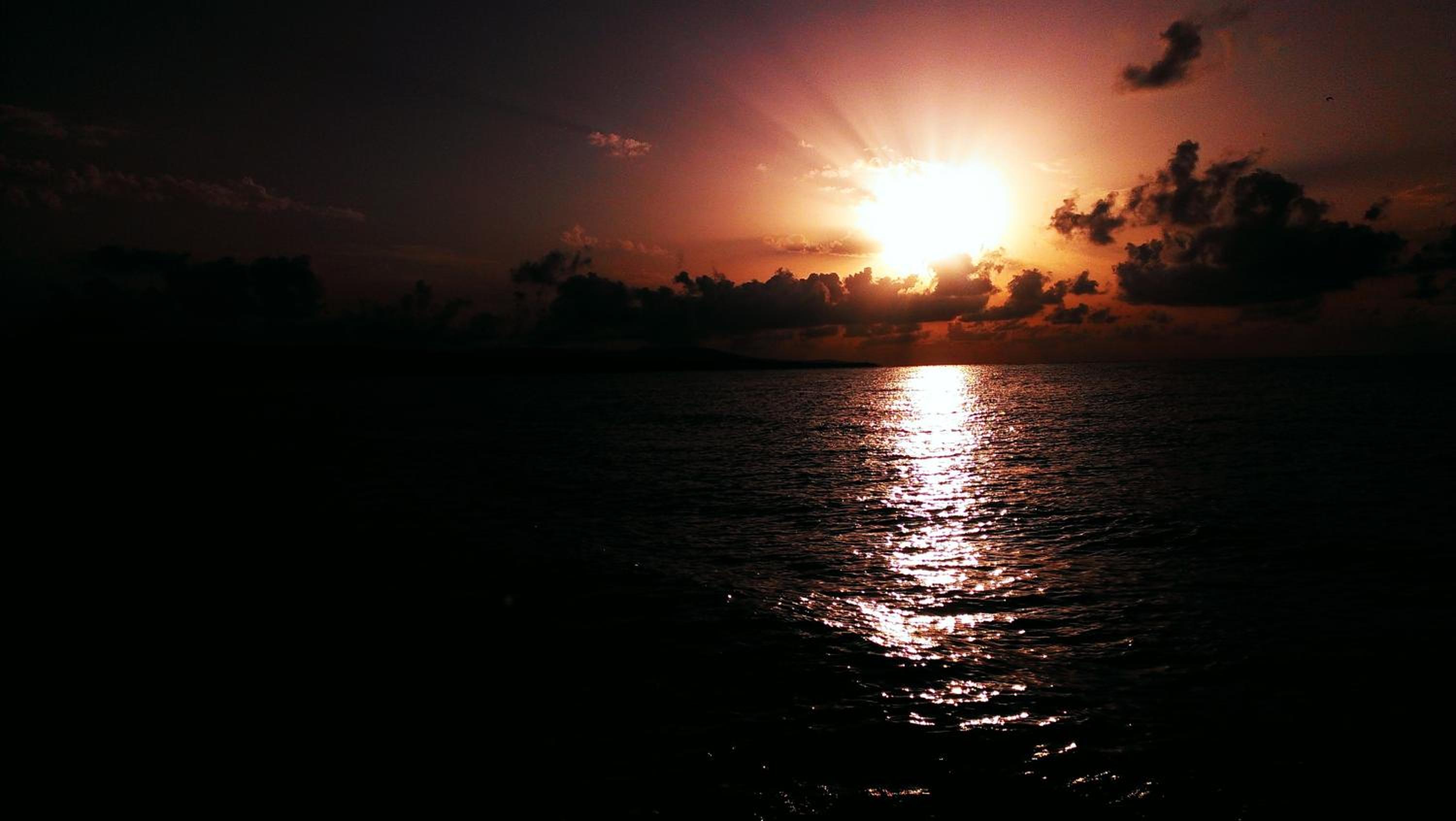 Photo 50