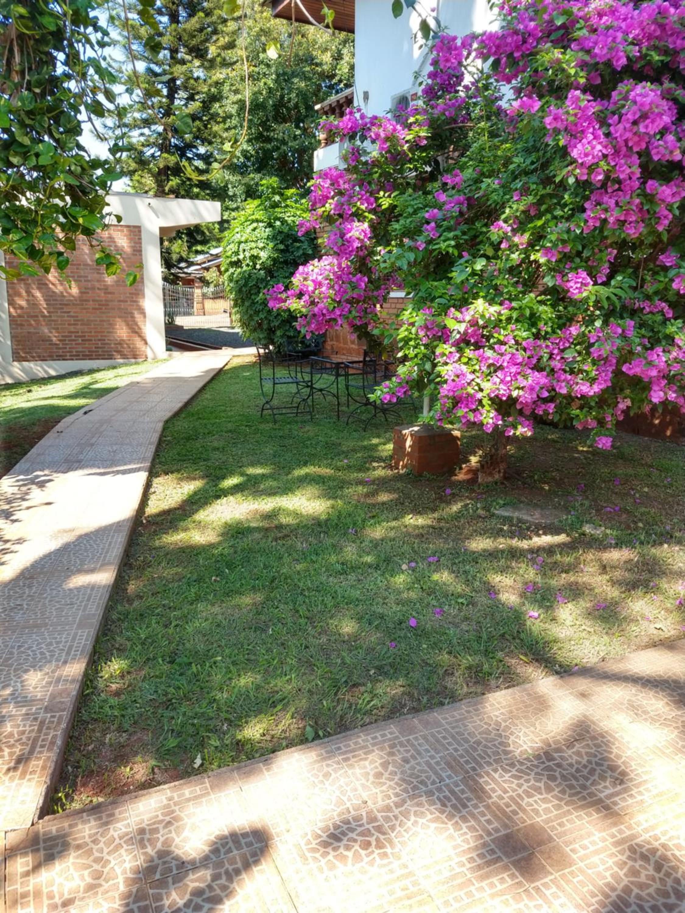 garden