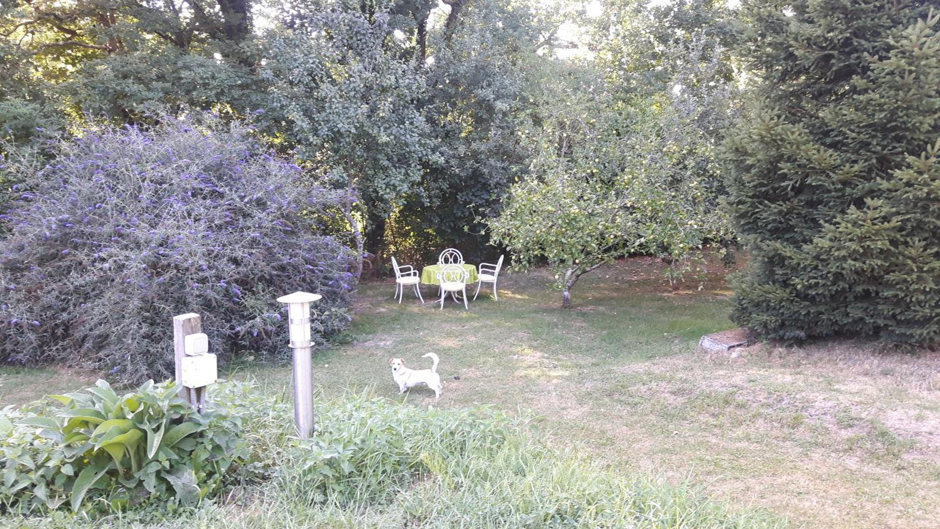 Photo 19