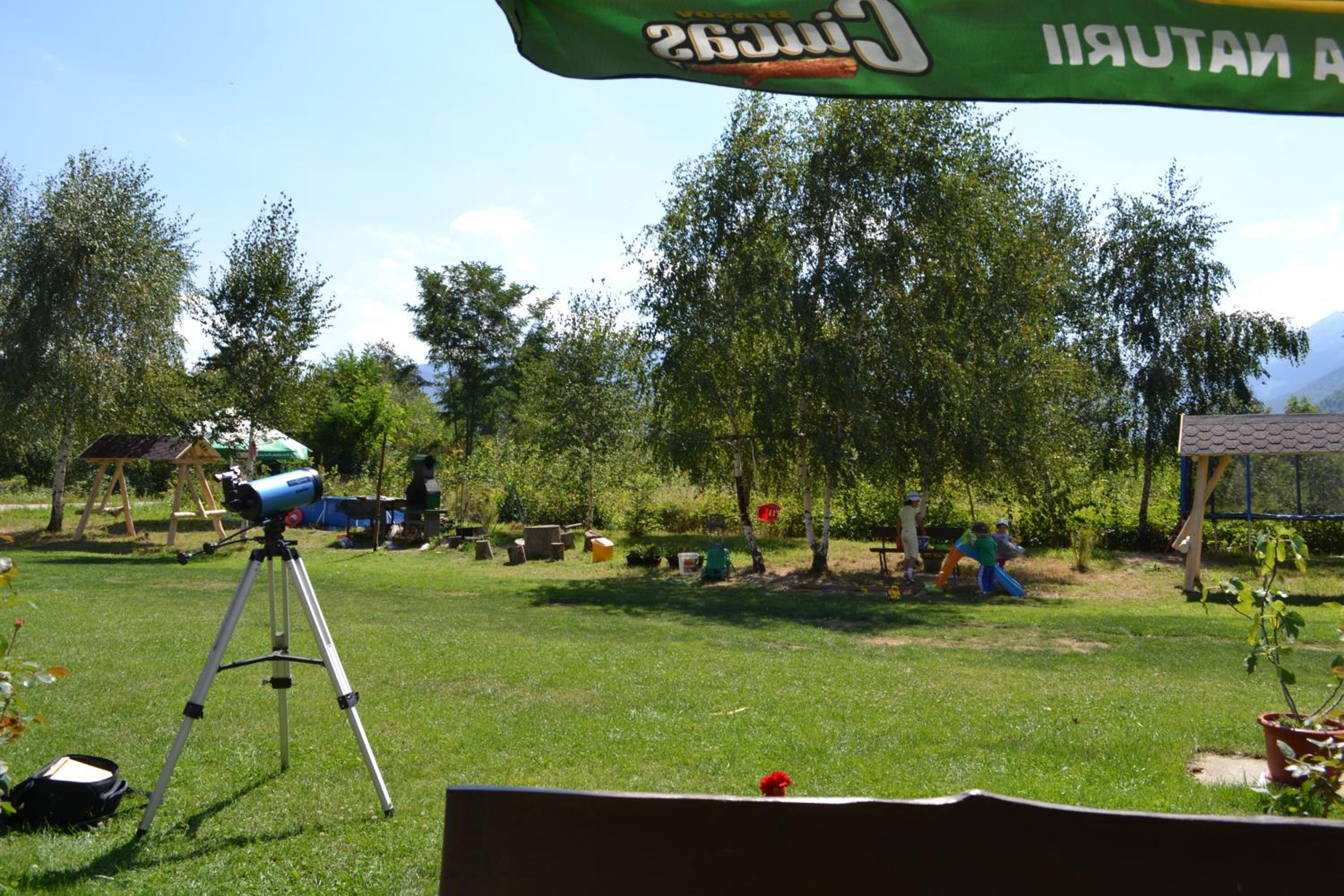 Pensiunea Royal Garden view 5