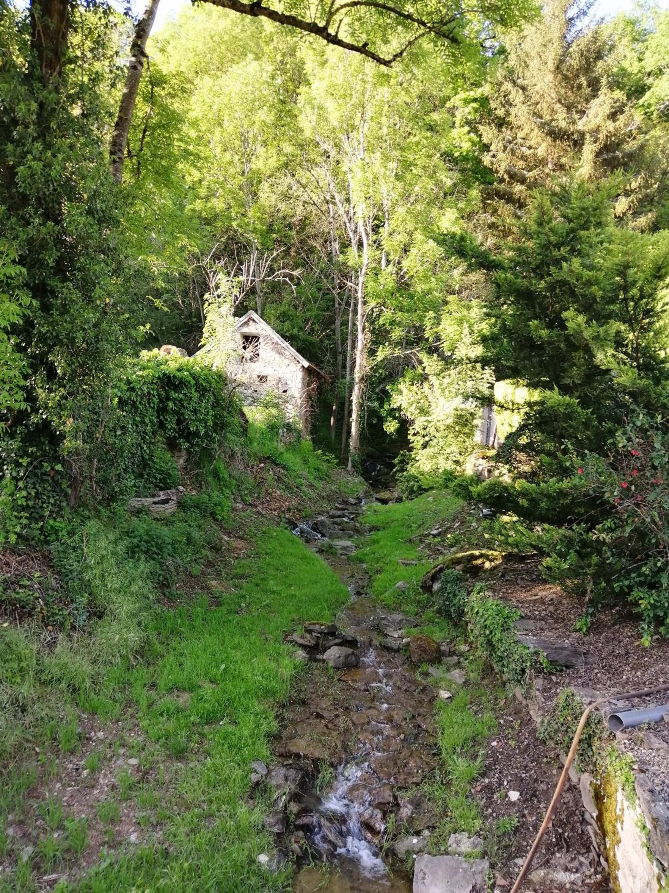 Photo 15