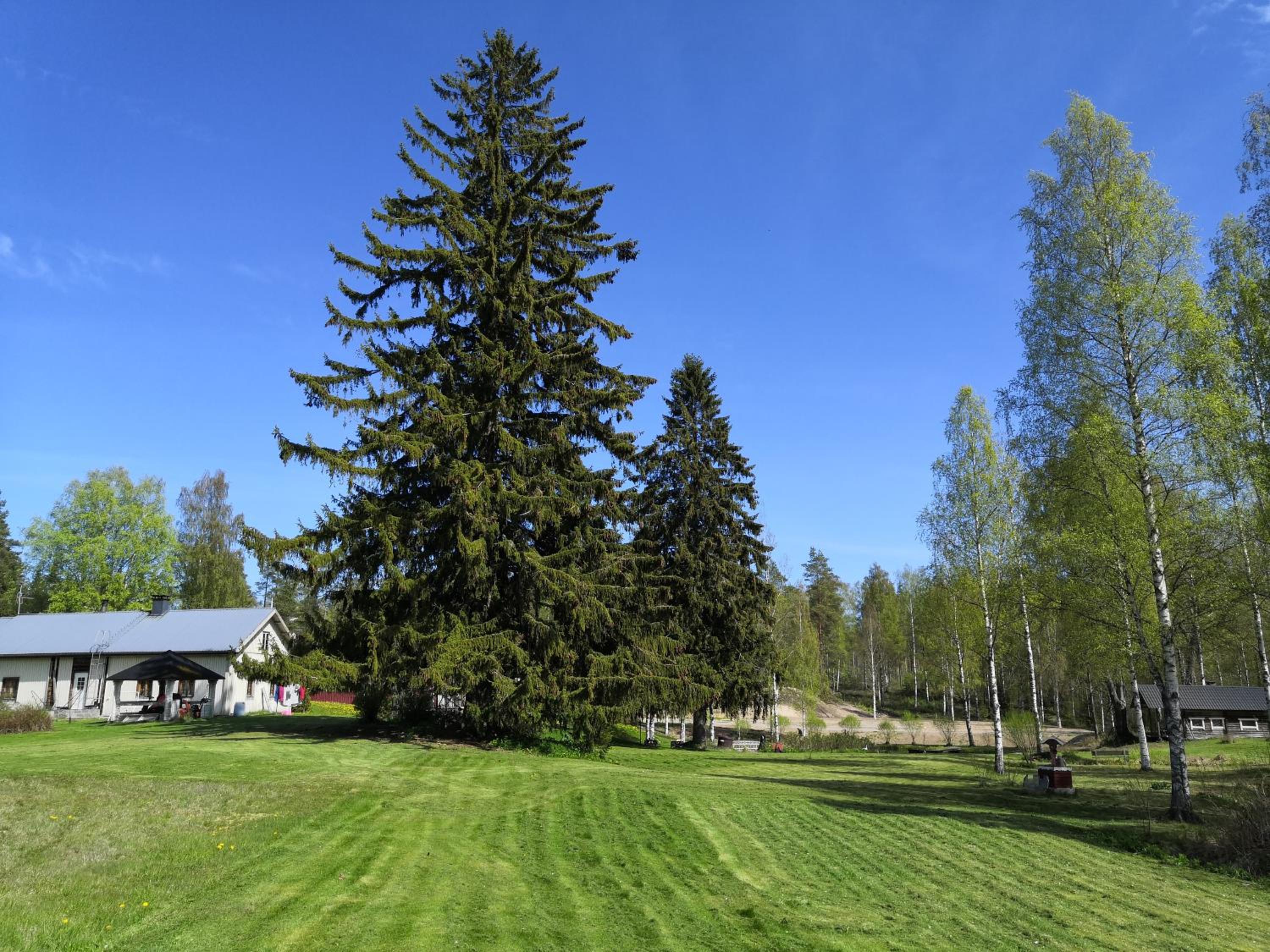 Photo 44
