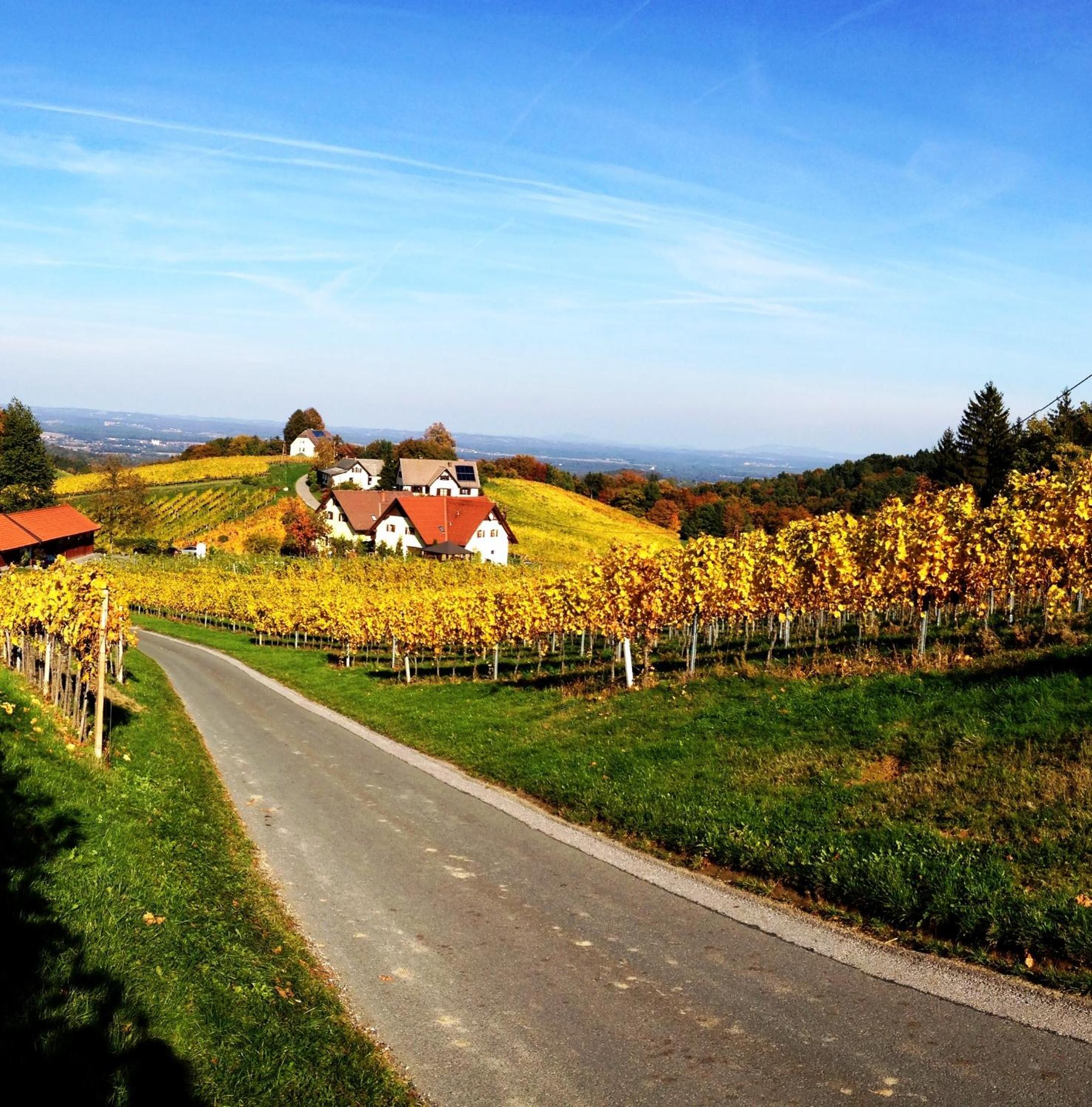 Weingut Schwarzl