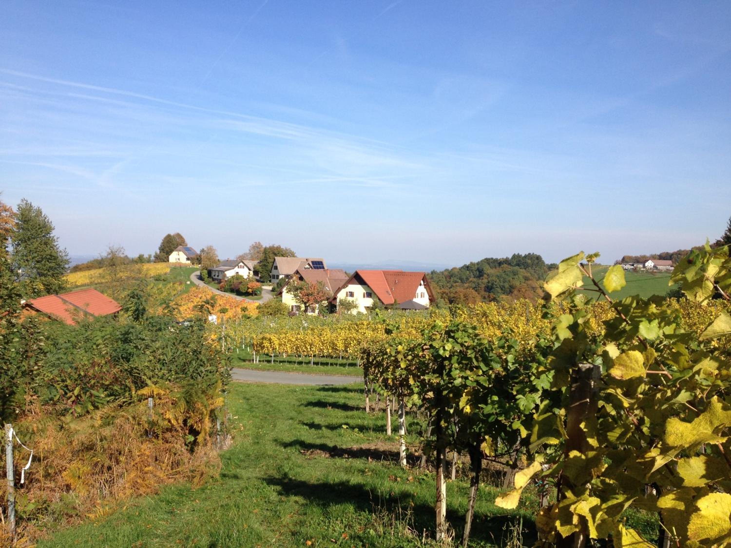 Weingut Schwarzl
