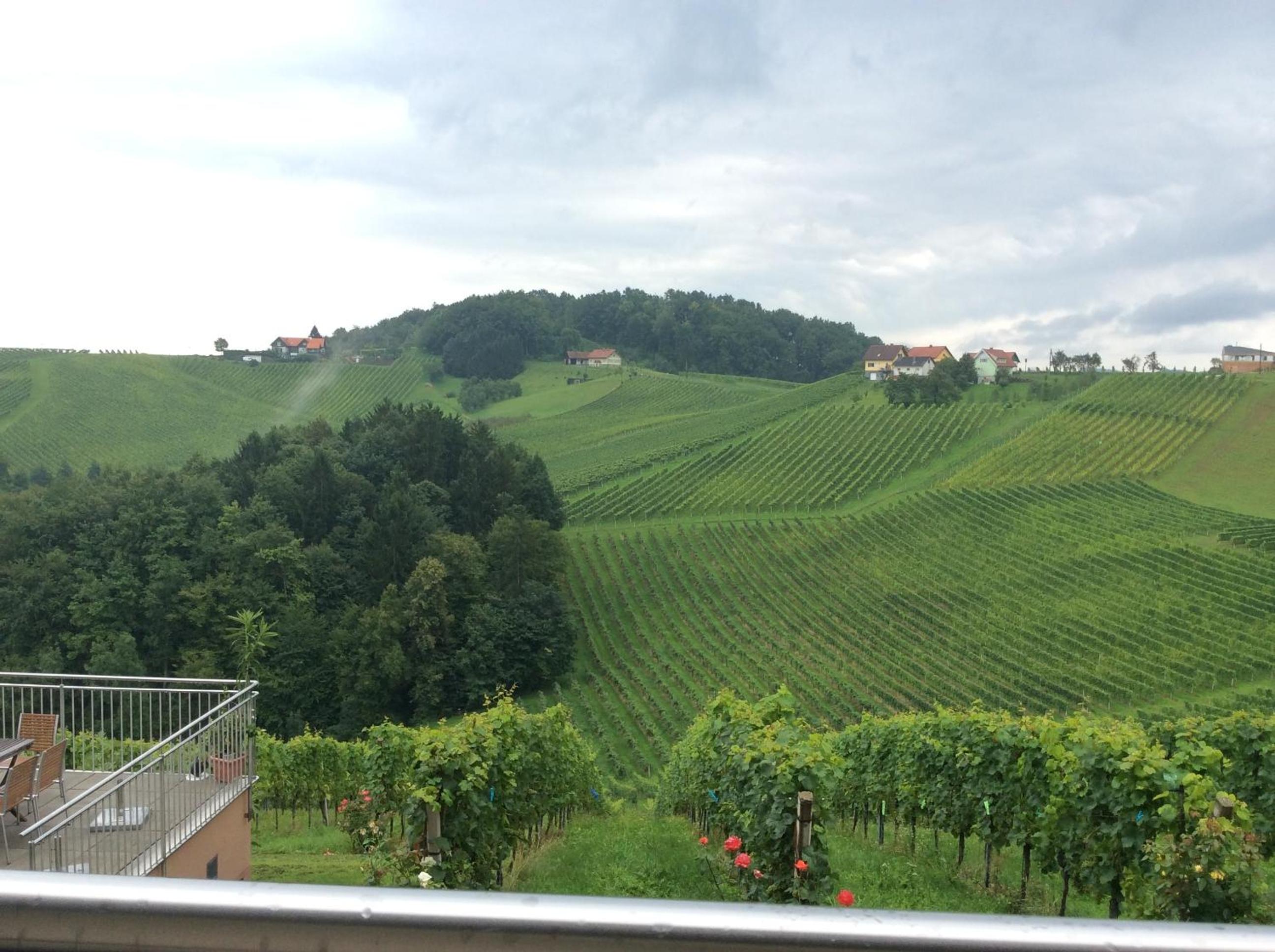 Zweytick Gästezimmer Weingut