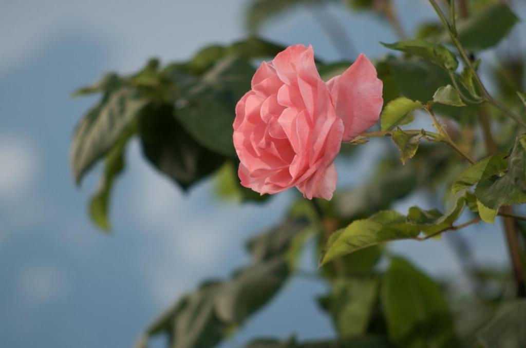 Photo 47