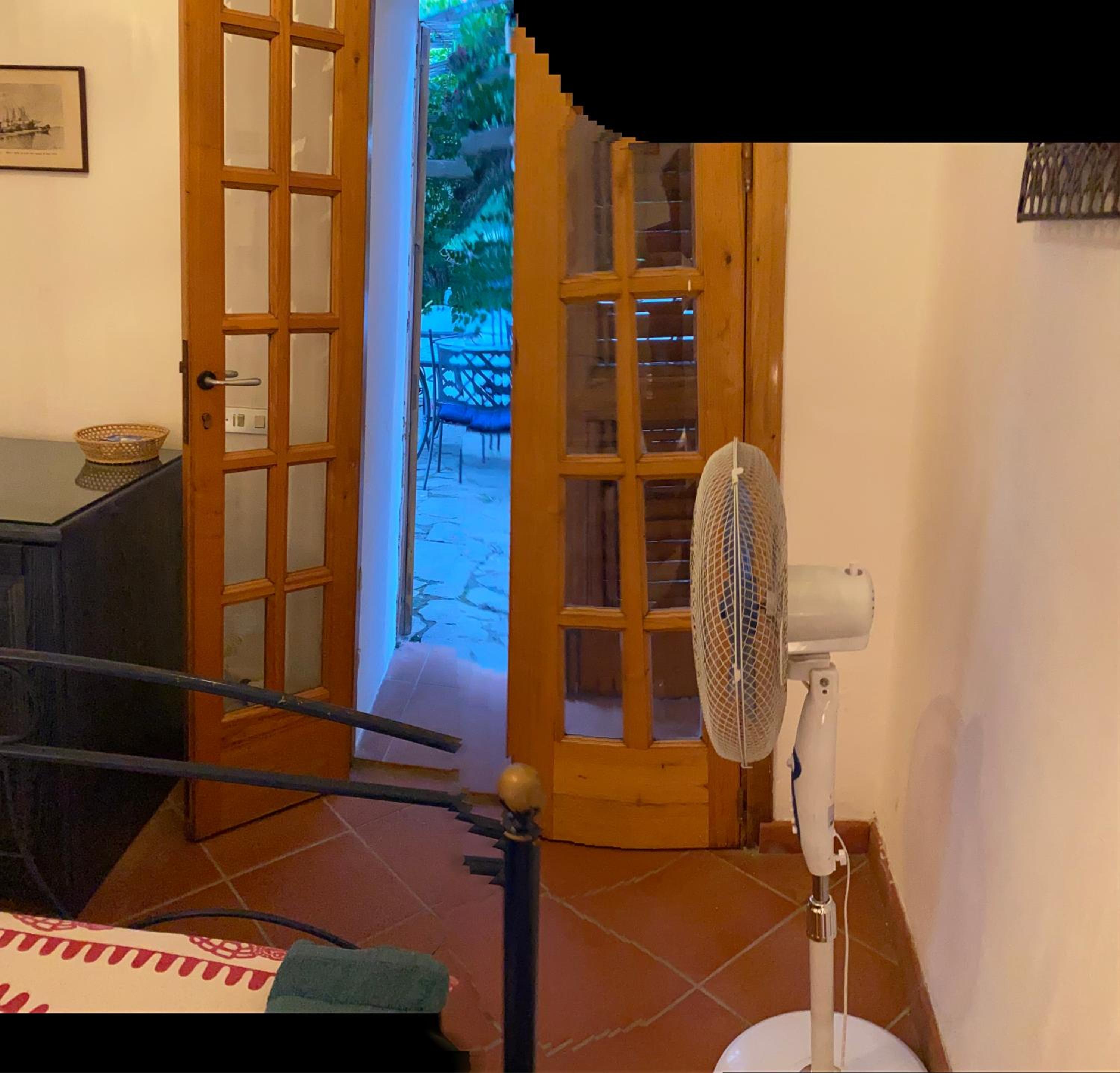 Schicciolina photo 2