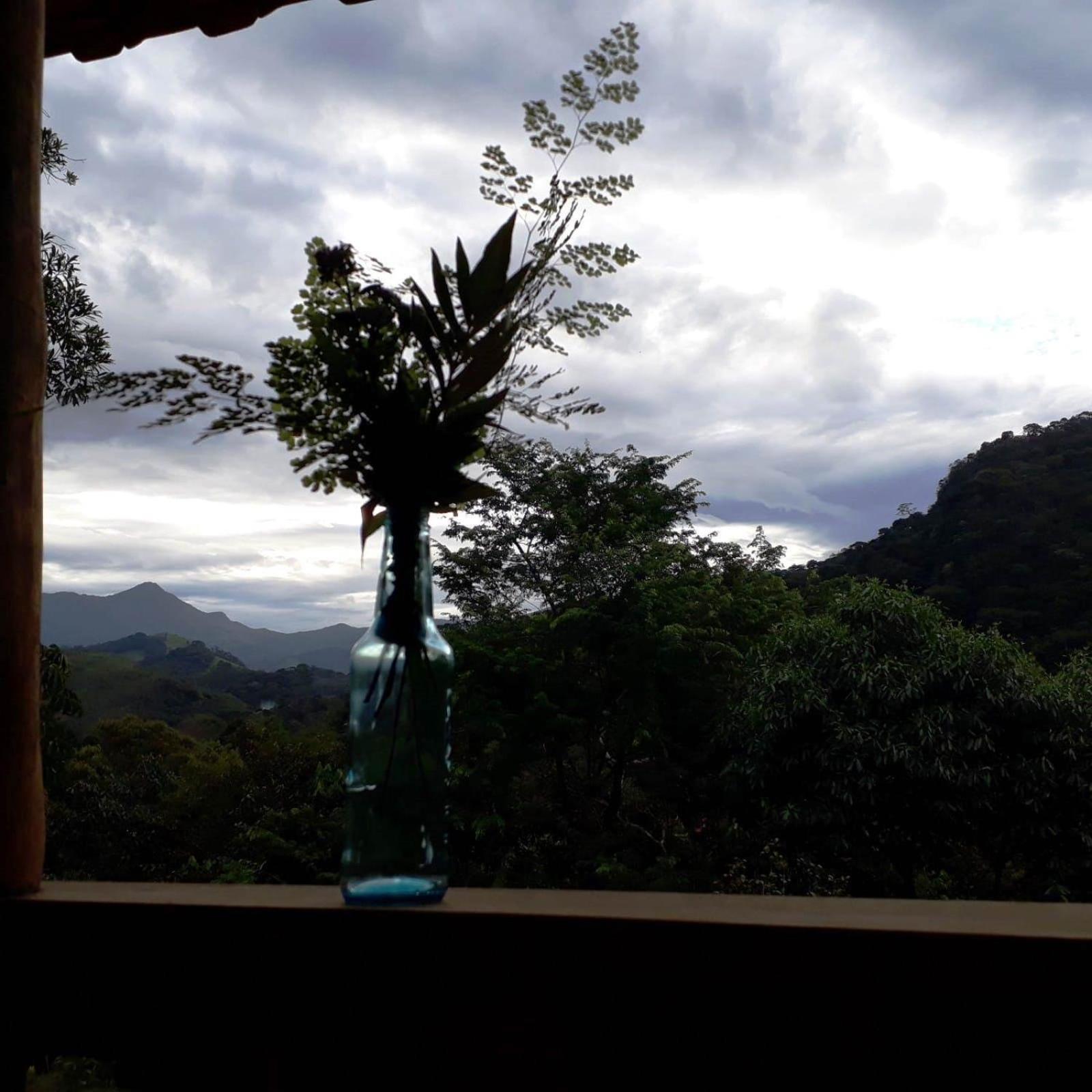 Casa Verde da Floresta da Gávea