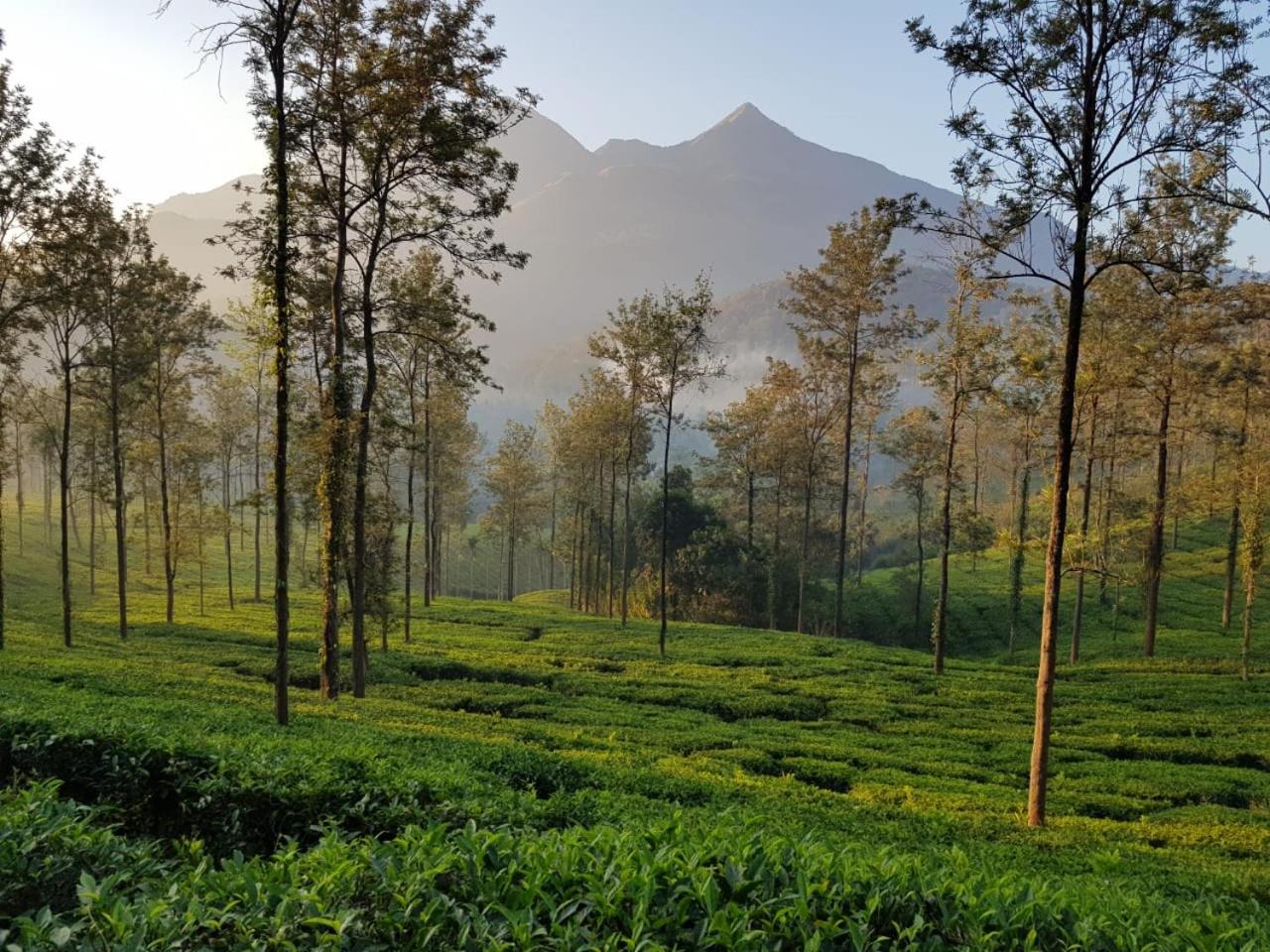 Glad Valley Wayanad By Lexstays