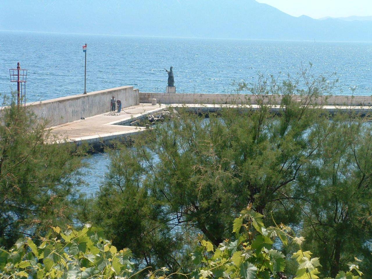 Photo 46