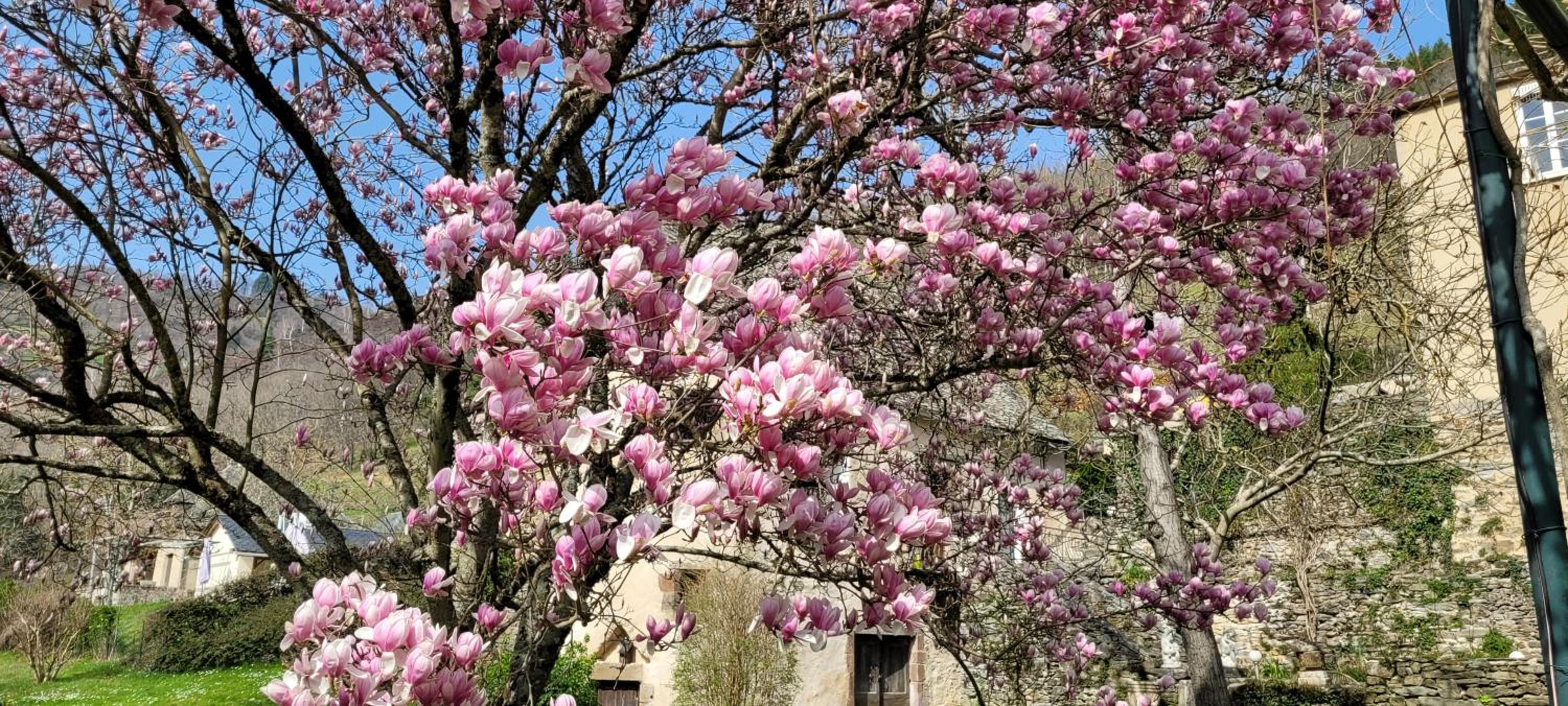 Manoir des Pélies