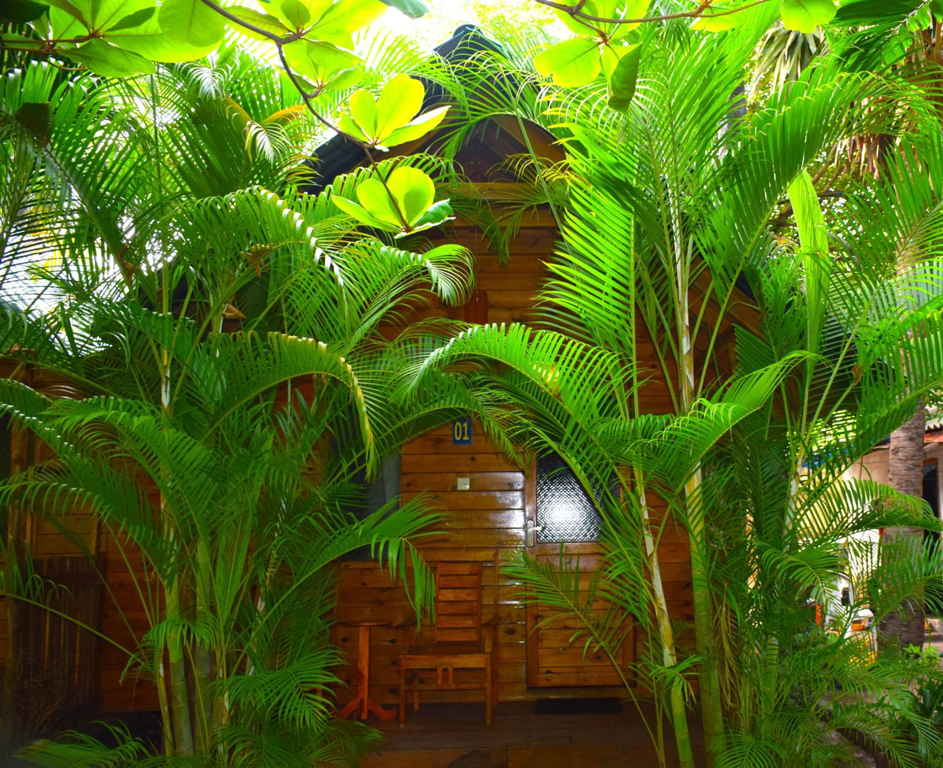 Sasvi Cabana