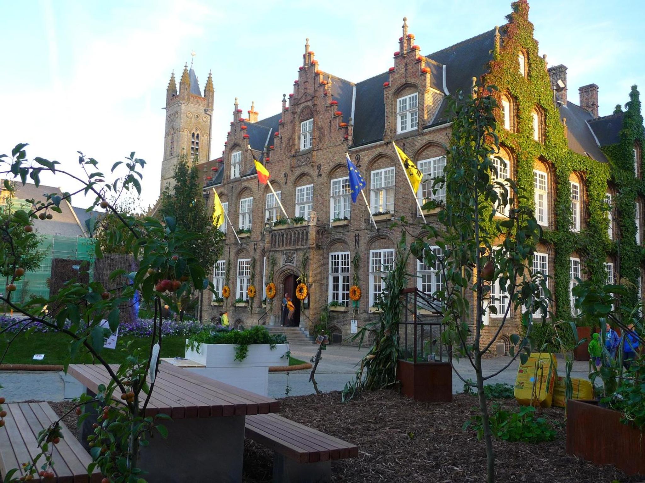 Photo 42