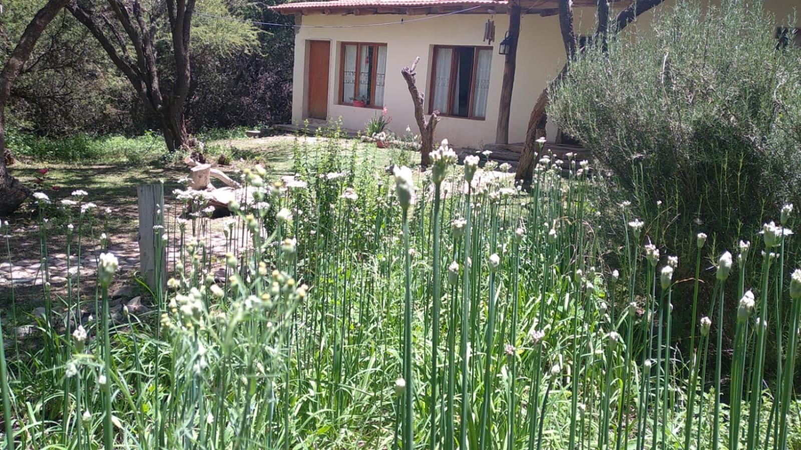 La Haciendita Hostel