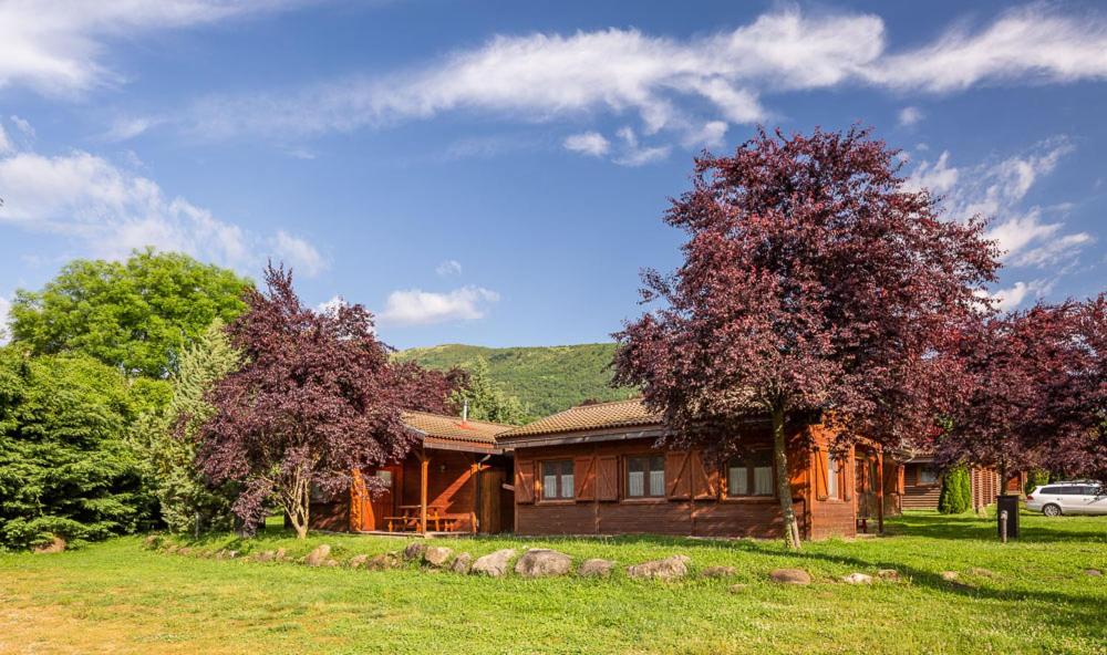 Photo 33