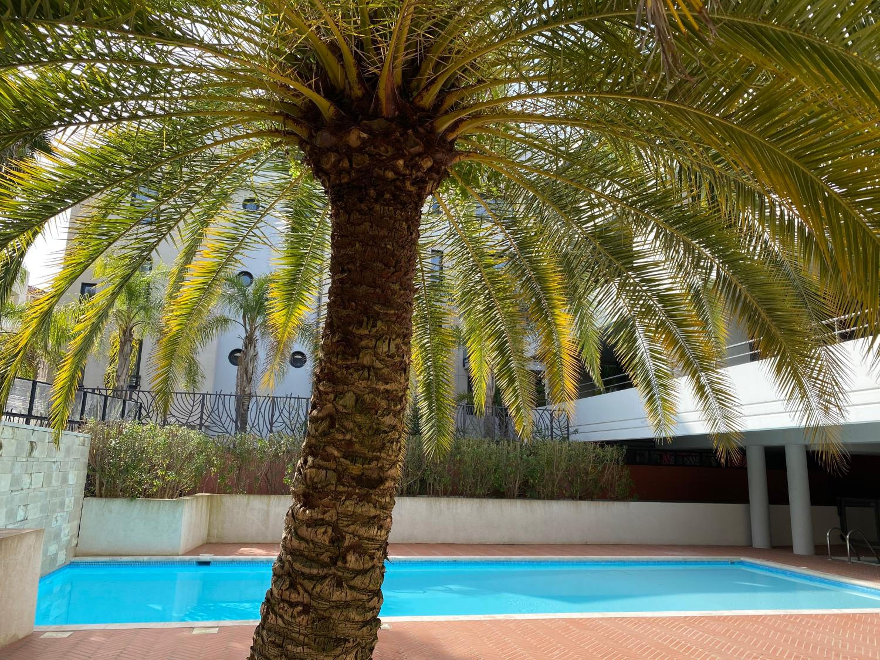 2 pièces terrasse piscine Cannes Californie photo 5