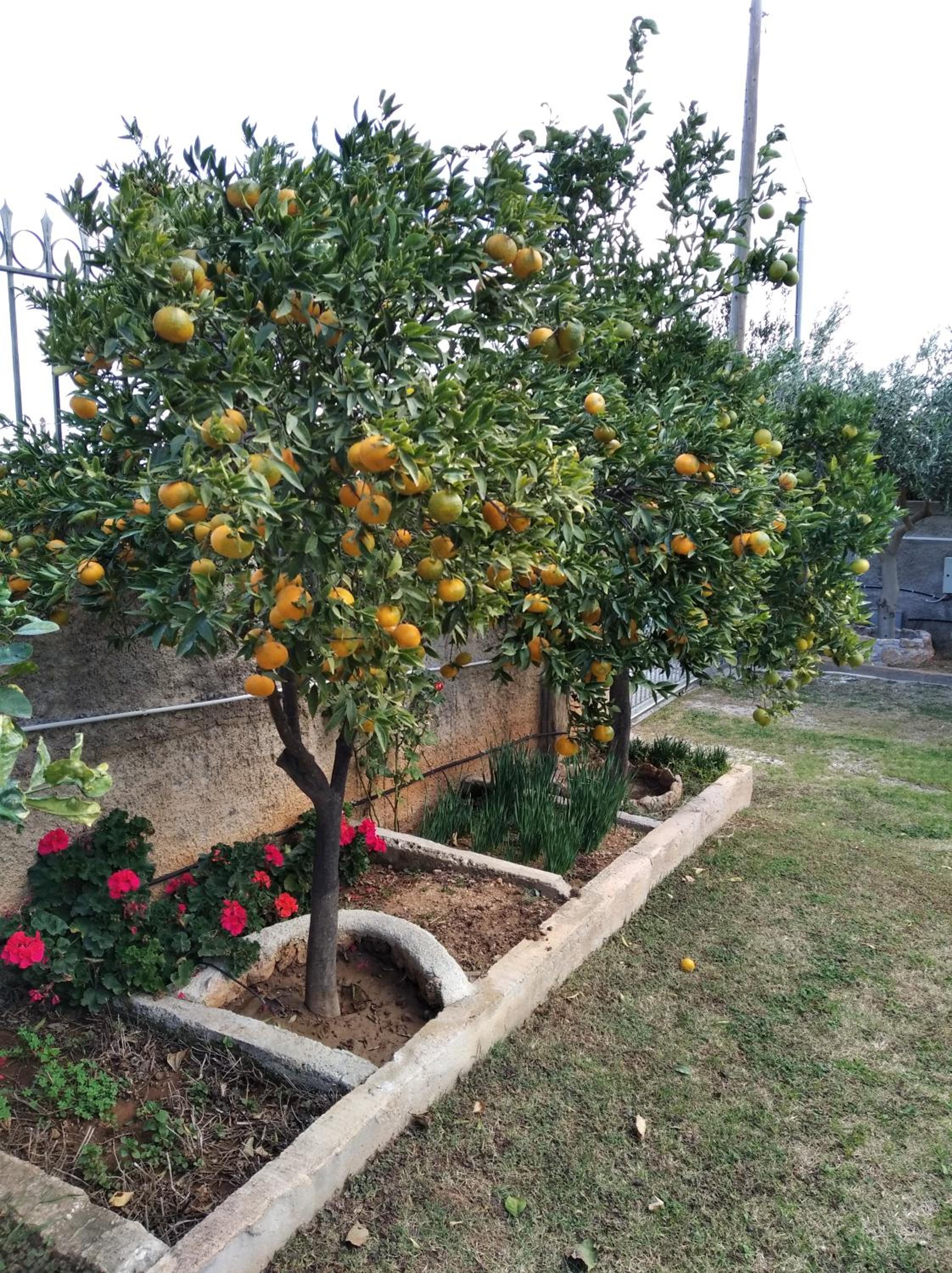 Garden House-Free transfer from airport view 2