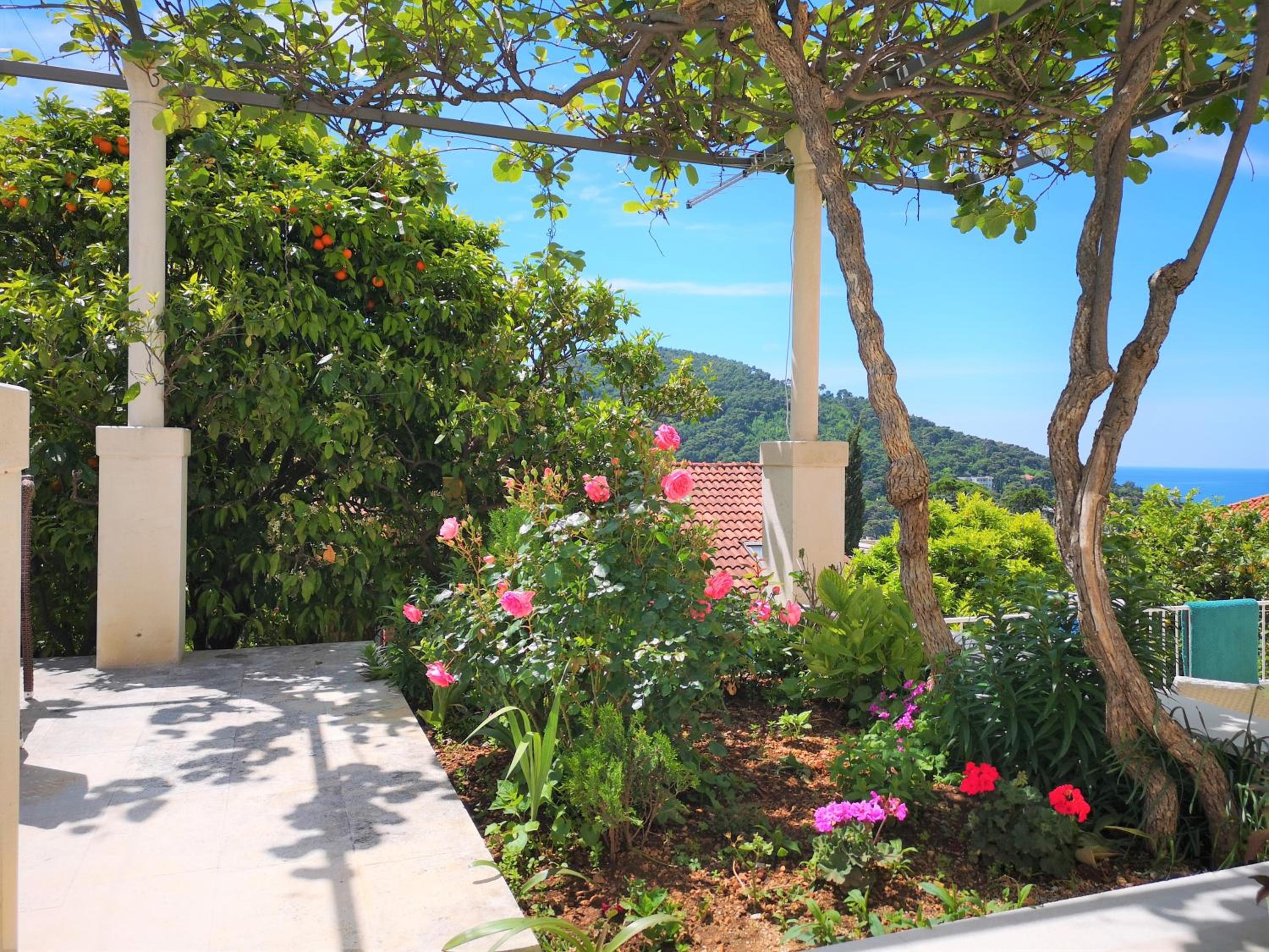 Beautiful Sea View Apartments