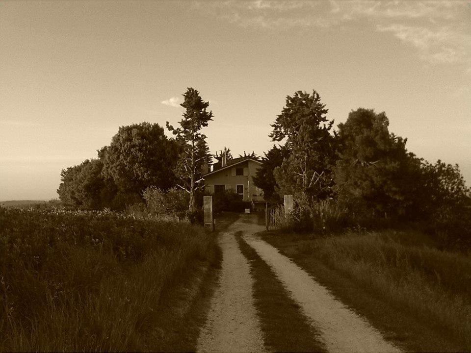 B&B Il Nido Di Alice