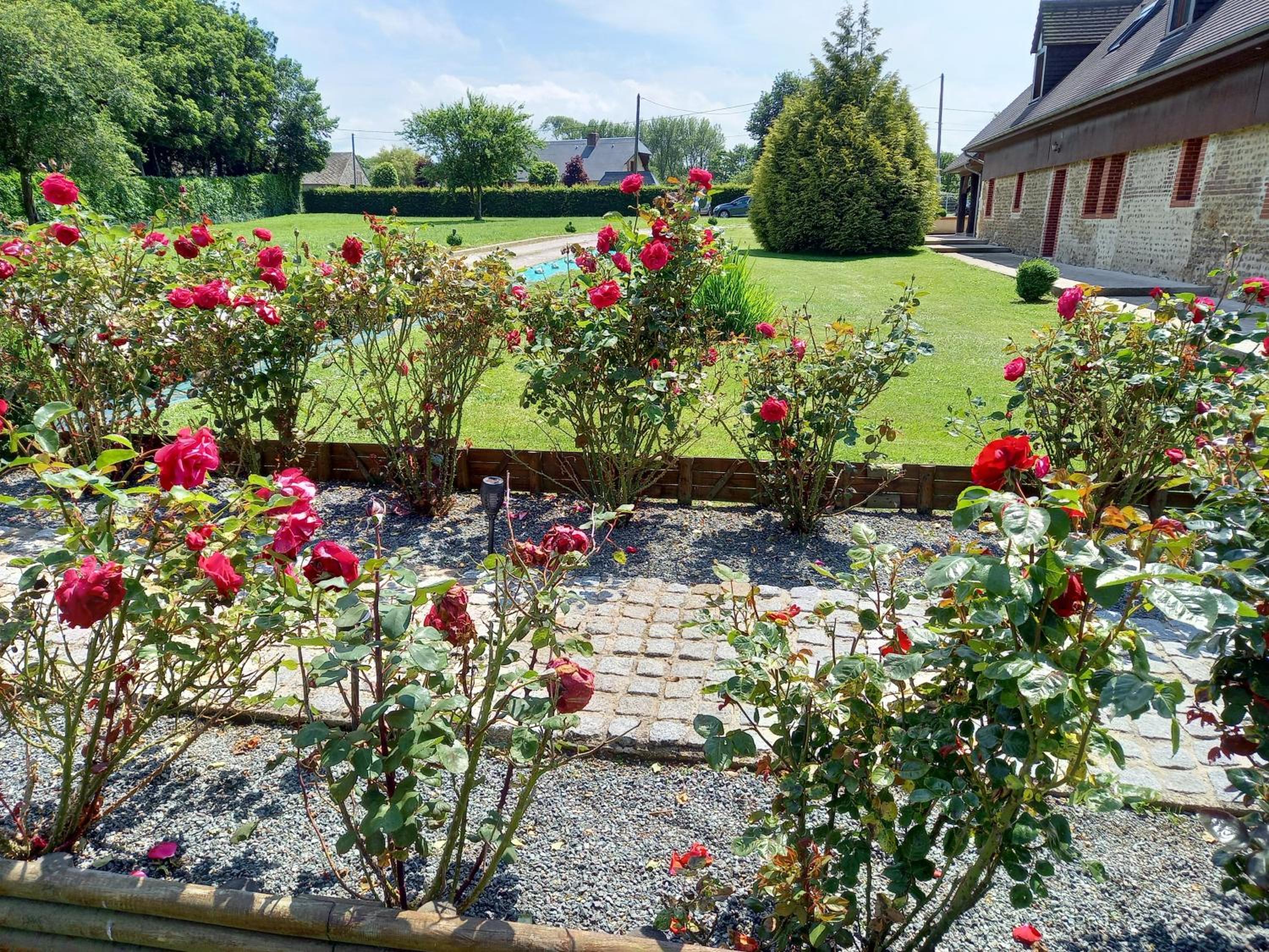 Photo 16